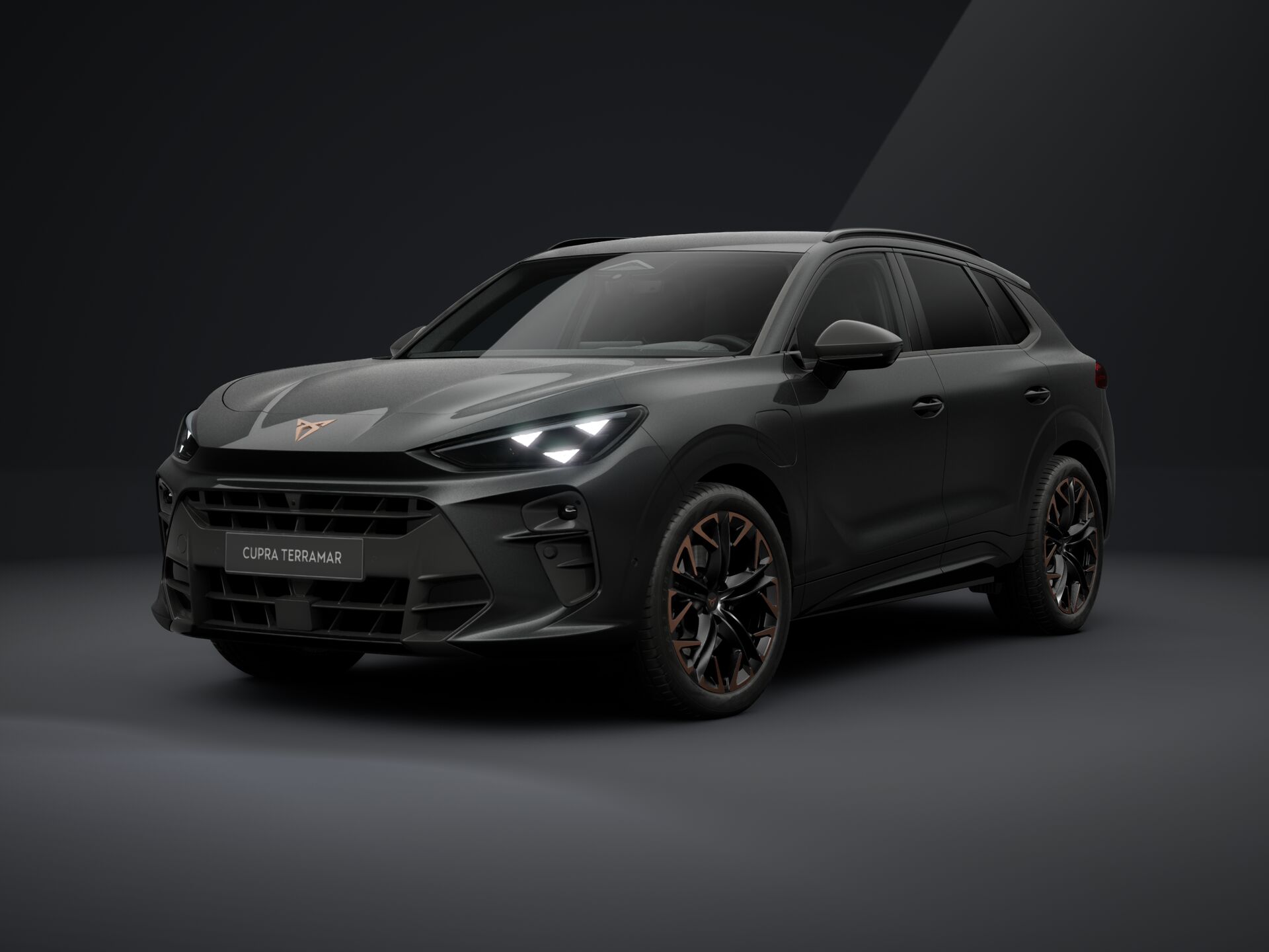 Bild eines Terramar e-HYBRID 204 PS DSG