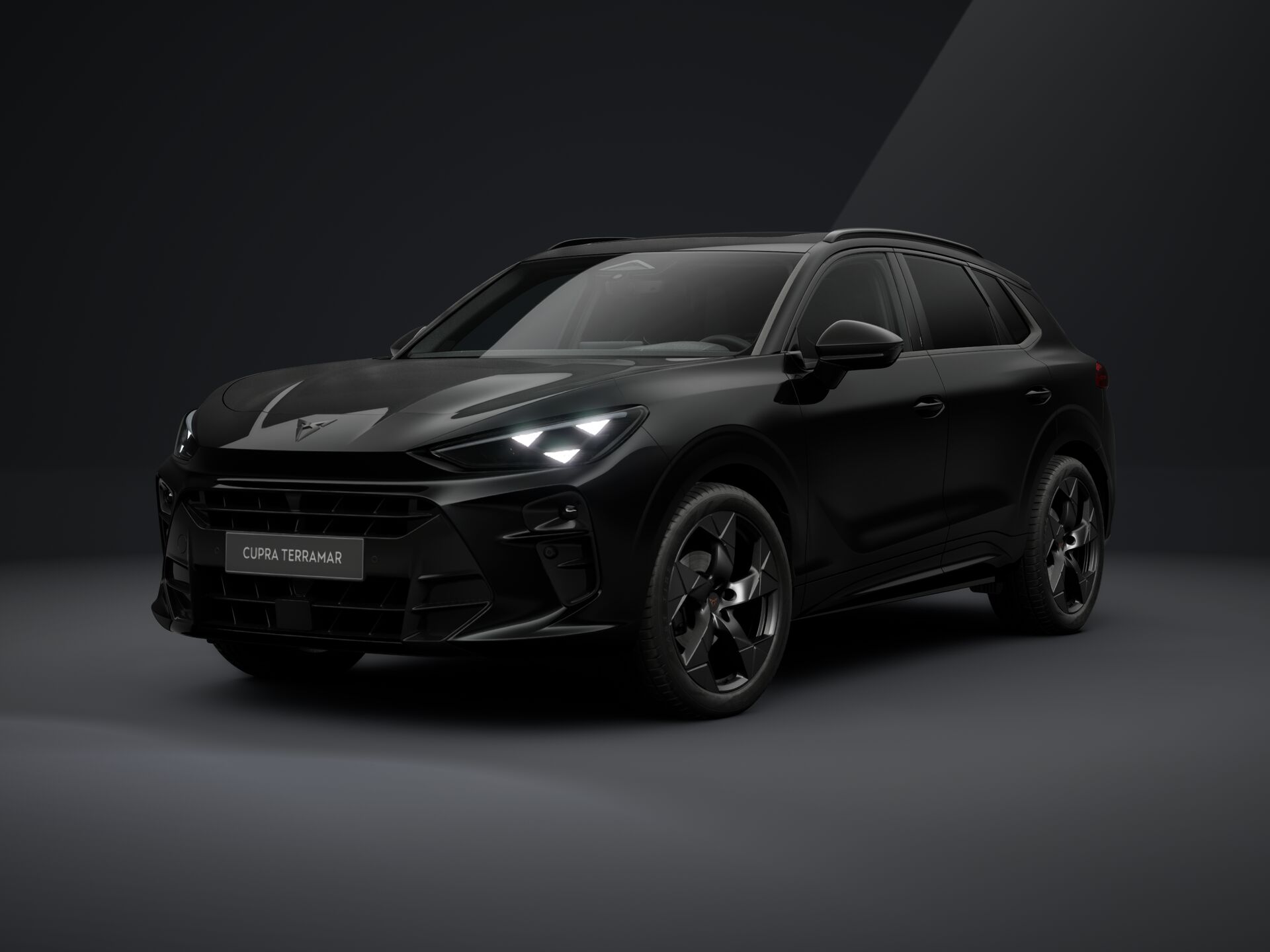 Bild eines Terramar TRIBE 1.5 e-TSI 150 PS DSG