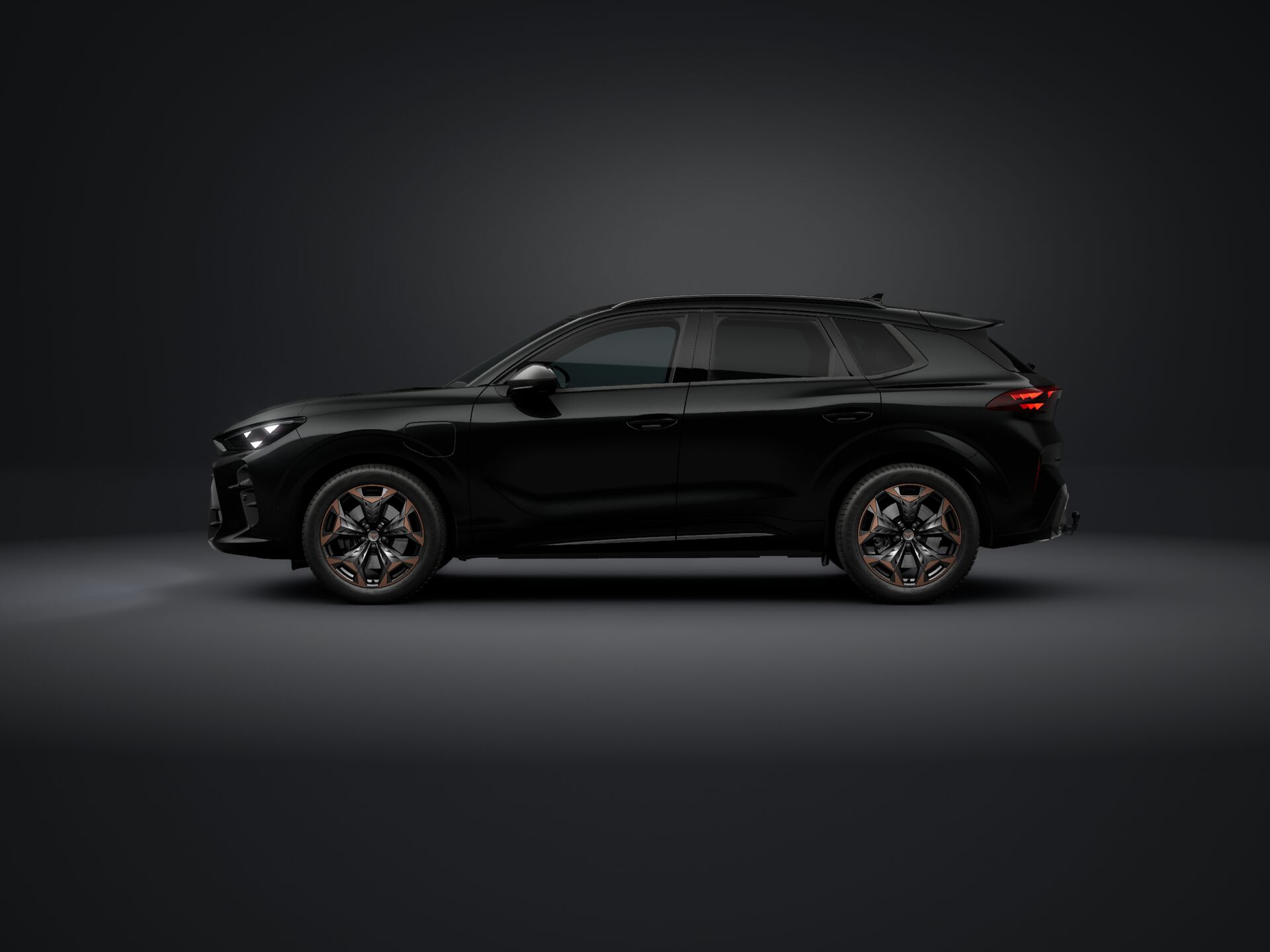 Bild eines Terramar e-HYBRID 204 PS DSG