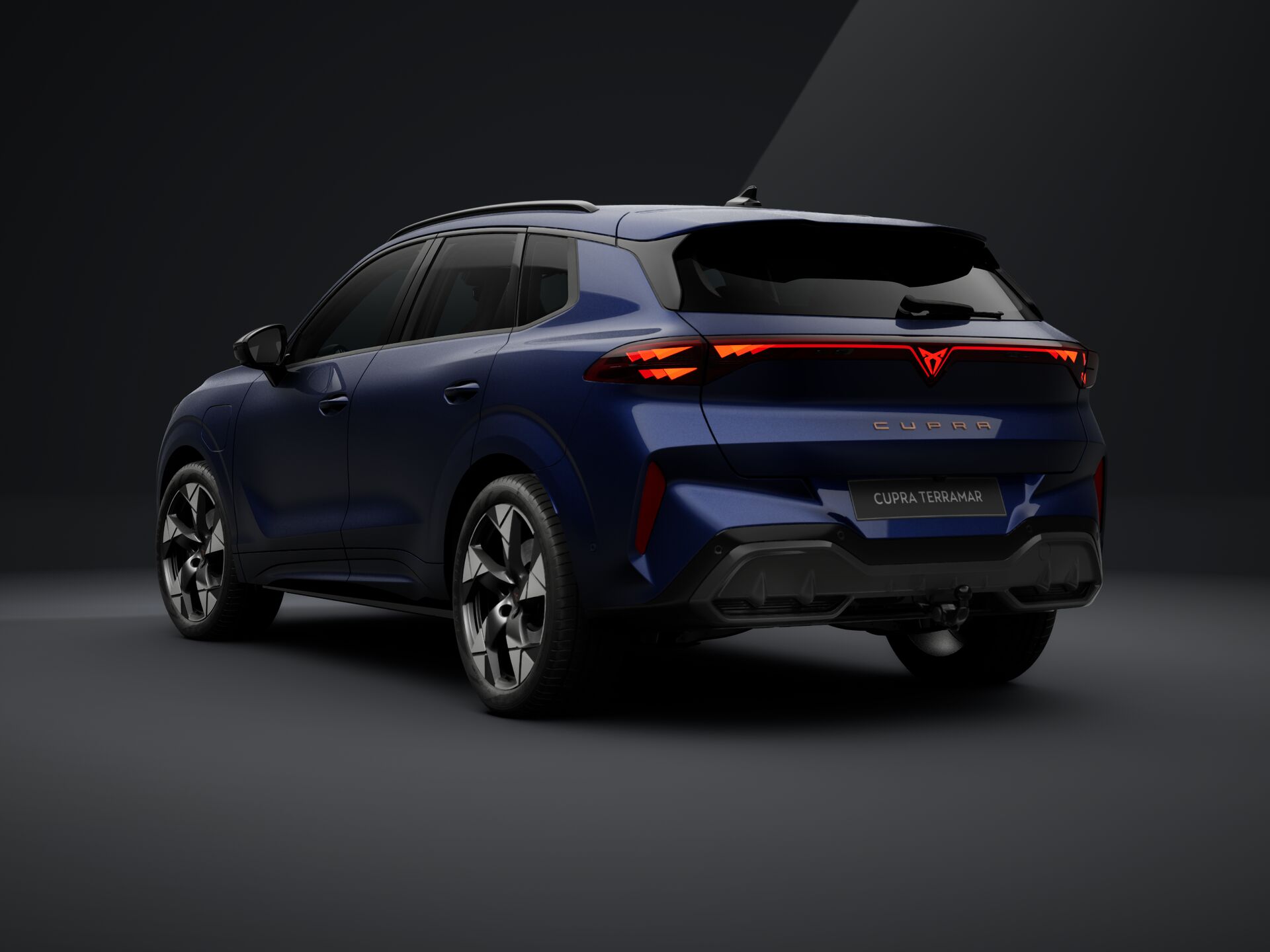 Bild eines Terramar e-HYBRID 204 PS DSG