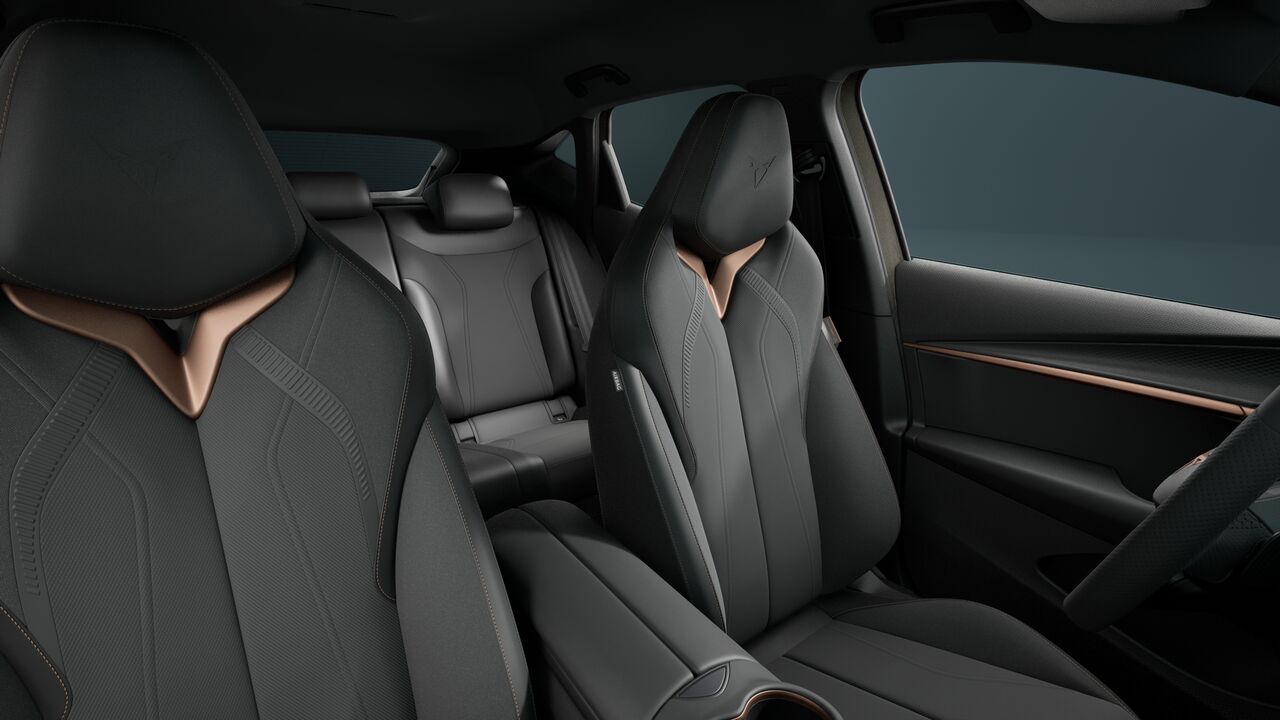 Bild eines Tavascan Drive 77 210kW/286PS