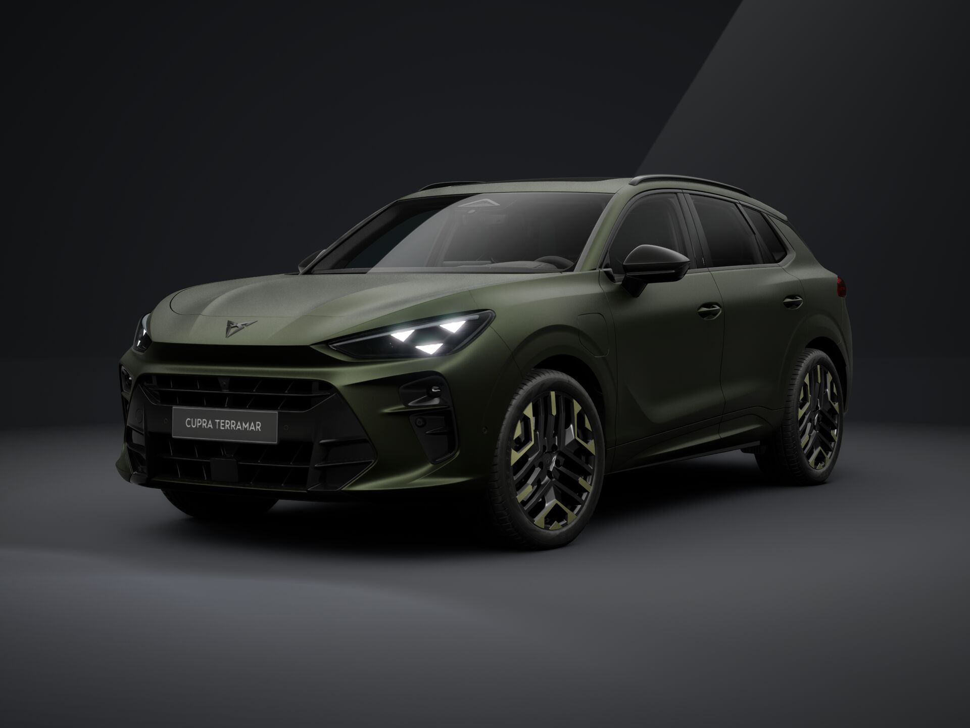 Cupra Terramar TRIBE e-HYBRID 204 PS DSG 2026