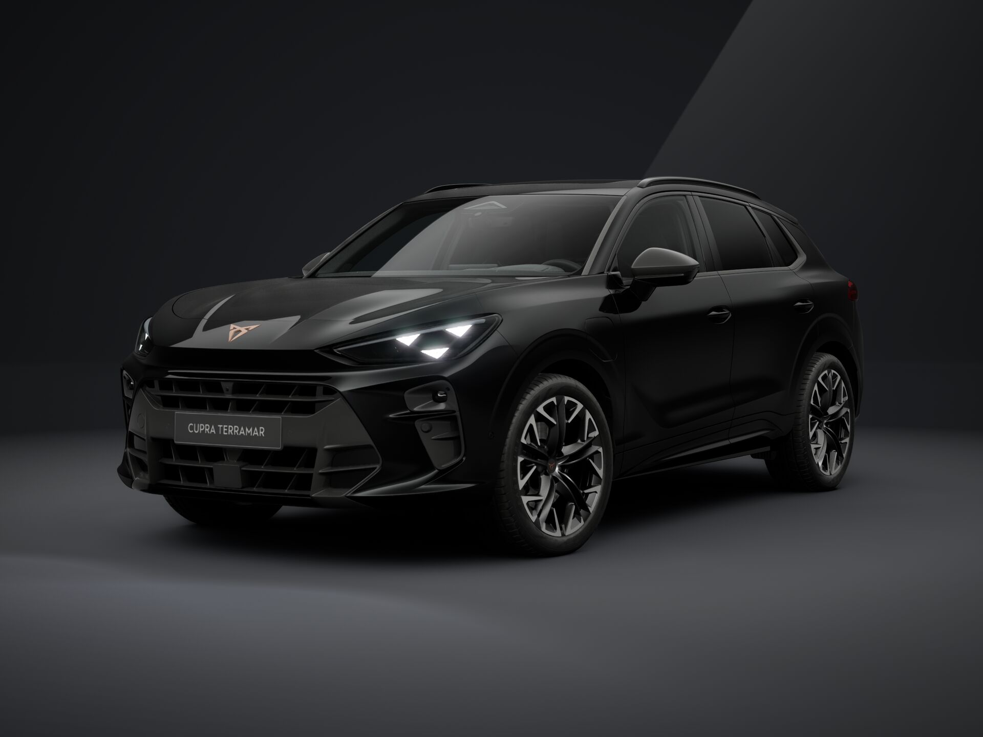 Bild eines Terramar e-HYBRID 204 PS DSG