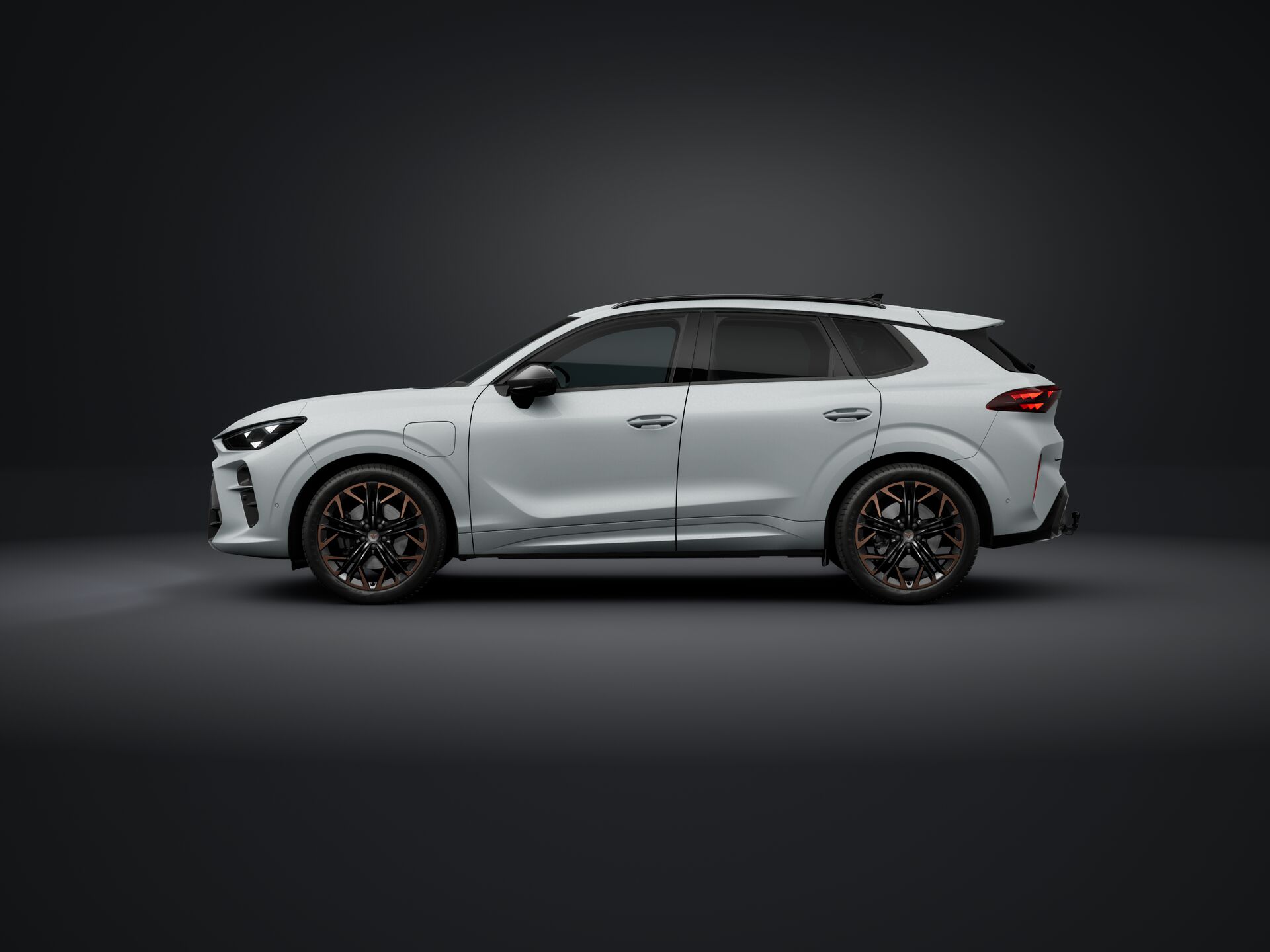 Bild eines Terramar e-HYBRID 204 PS DSG