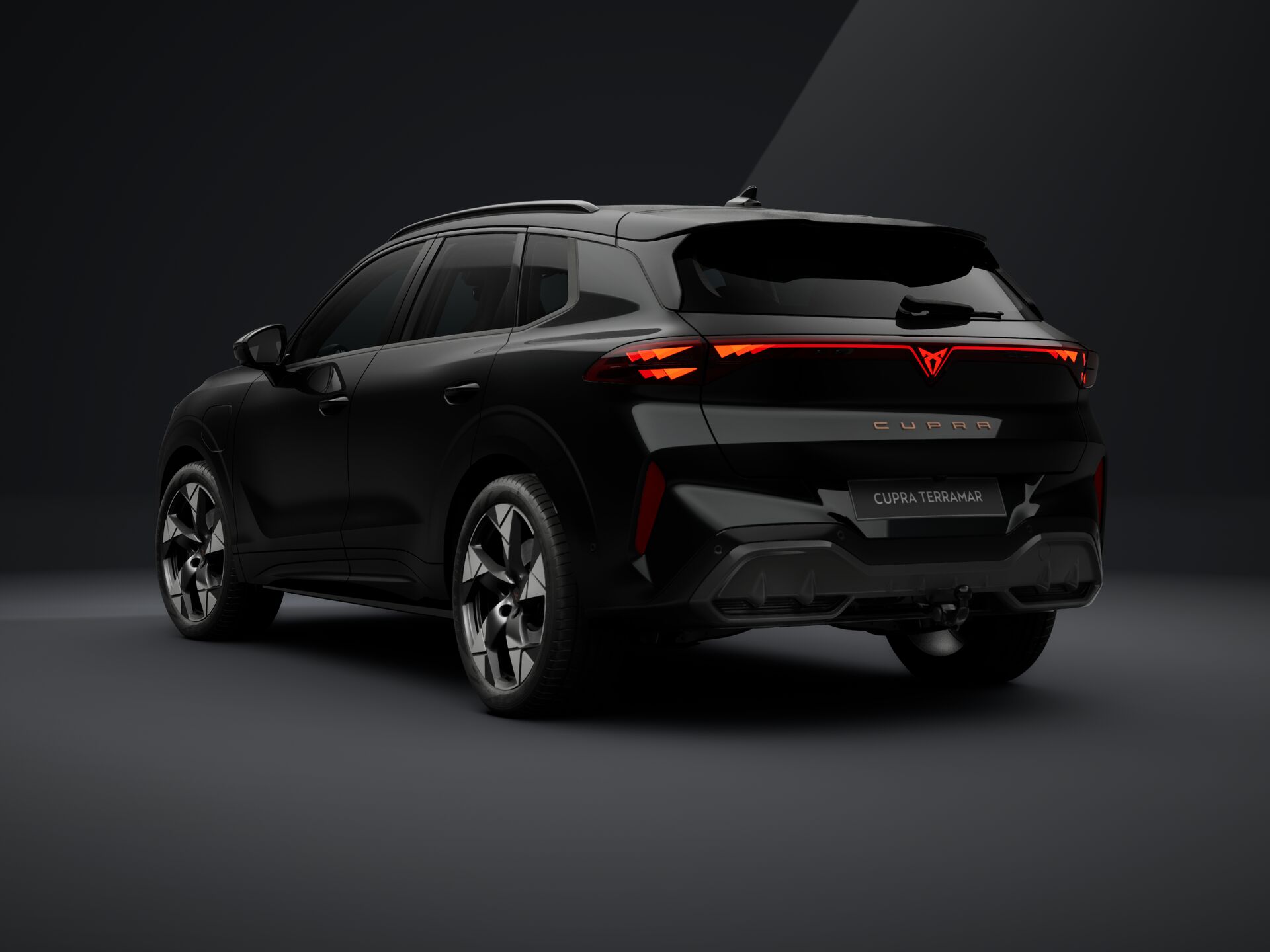 Bild eines Terramar e-HYBRID 204 PS DSG