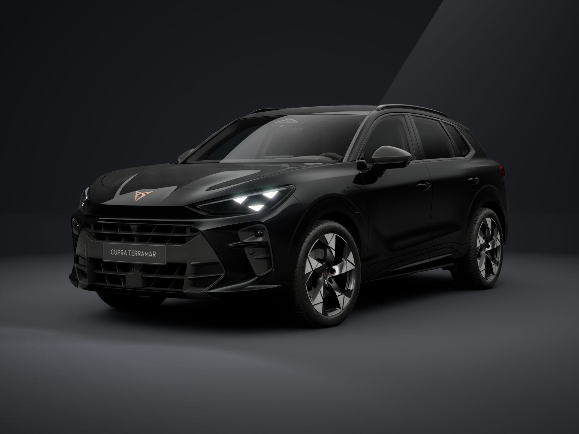 Bild eines Terramar e-HYBRID 204 PS DSG