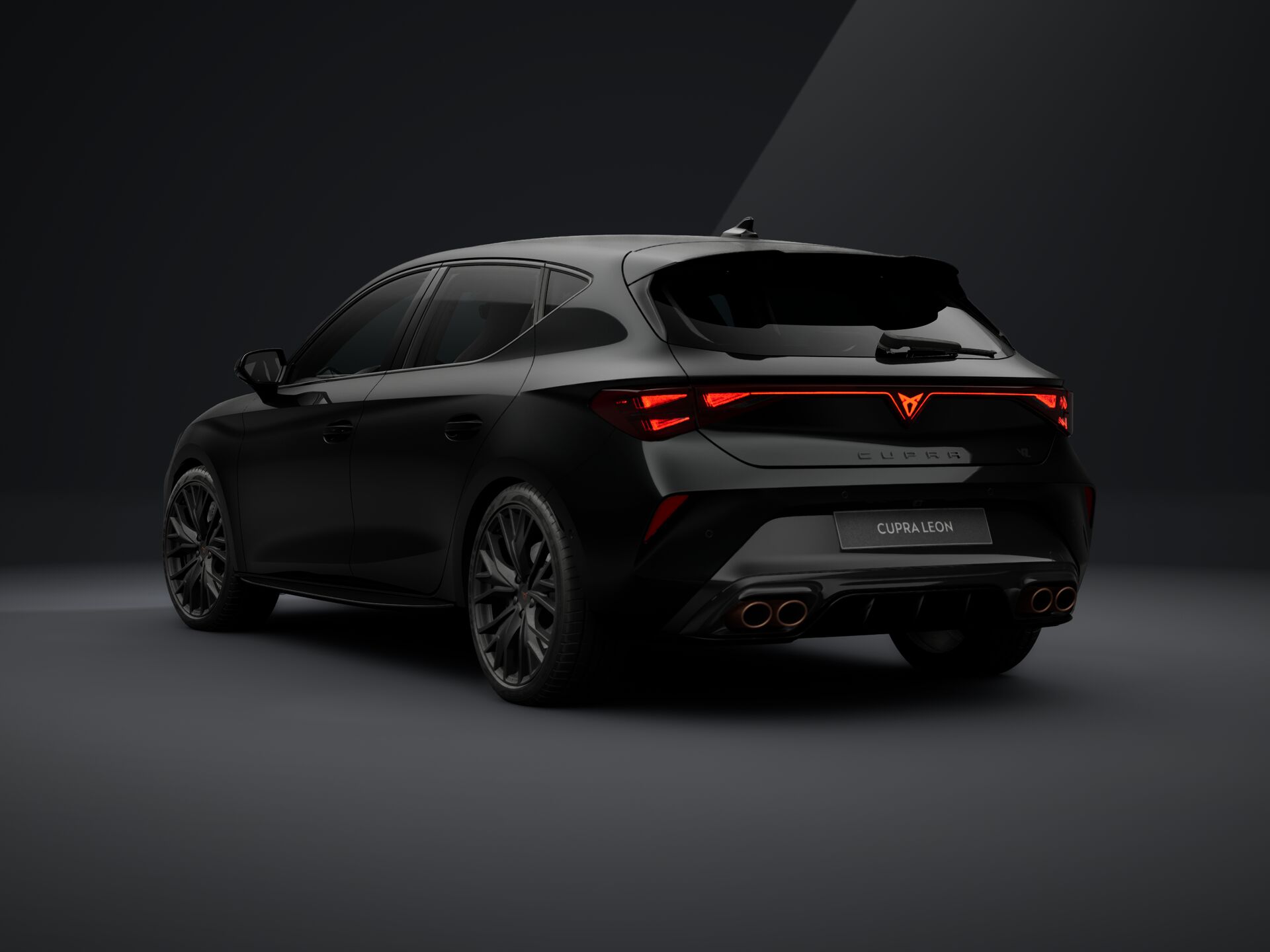 Bild eines Leon VZ 2.0 TSI DSG 325 PS