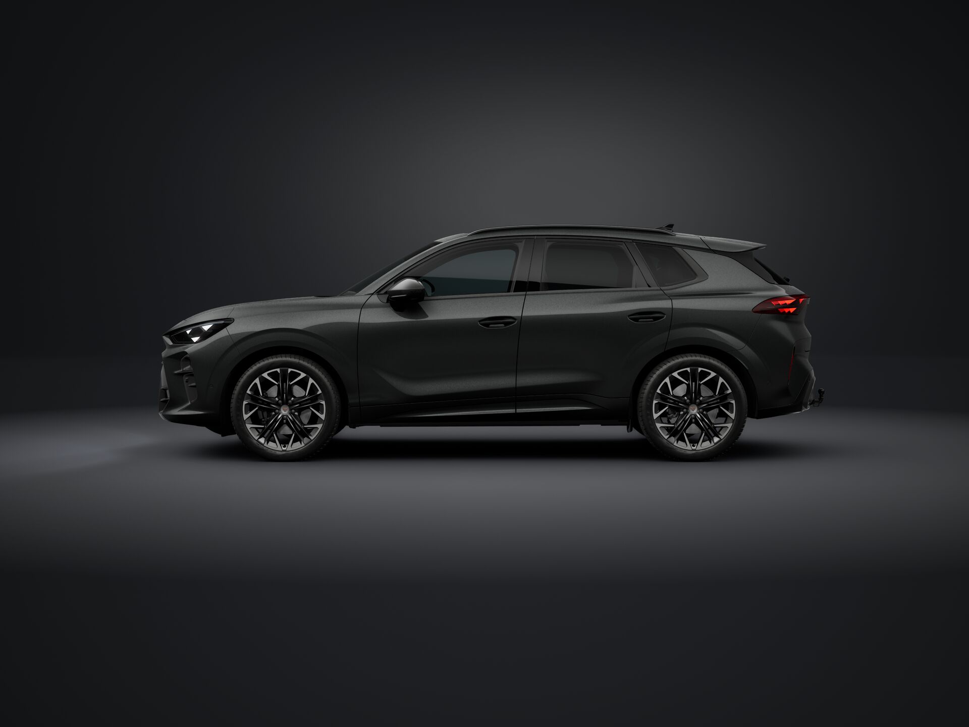 Bild eines Terramar 2.0 TSI 204 PS DSG 4Drive