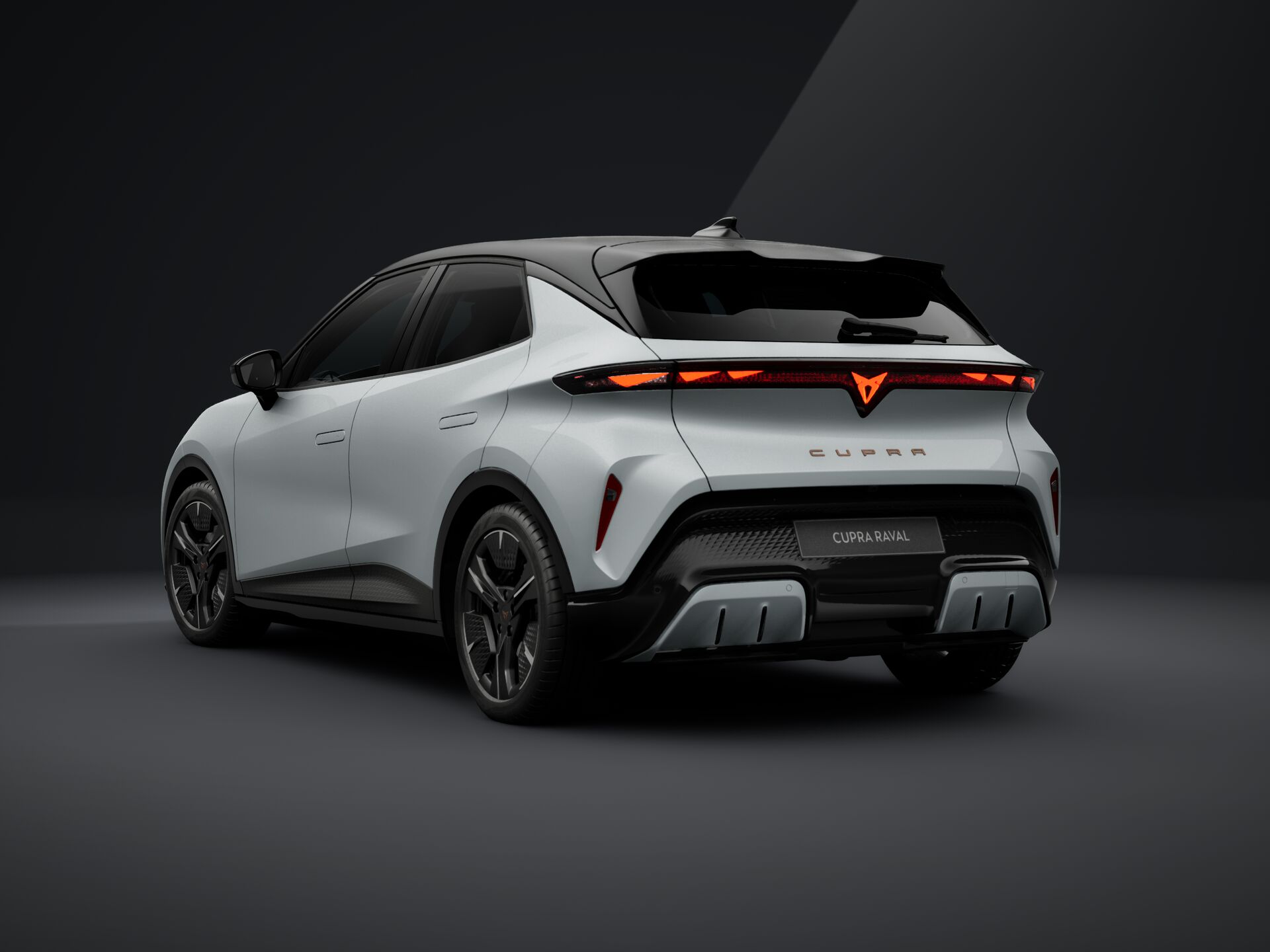 Bild eines Raval ENDURANCE 52/55 155kW/211 PS