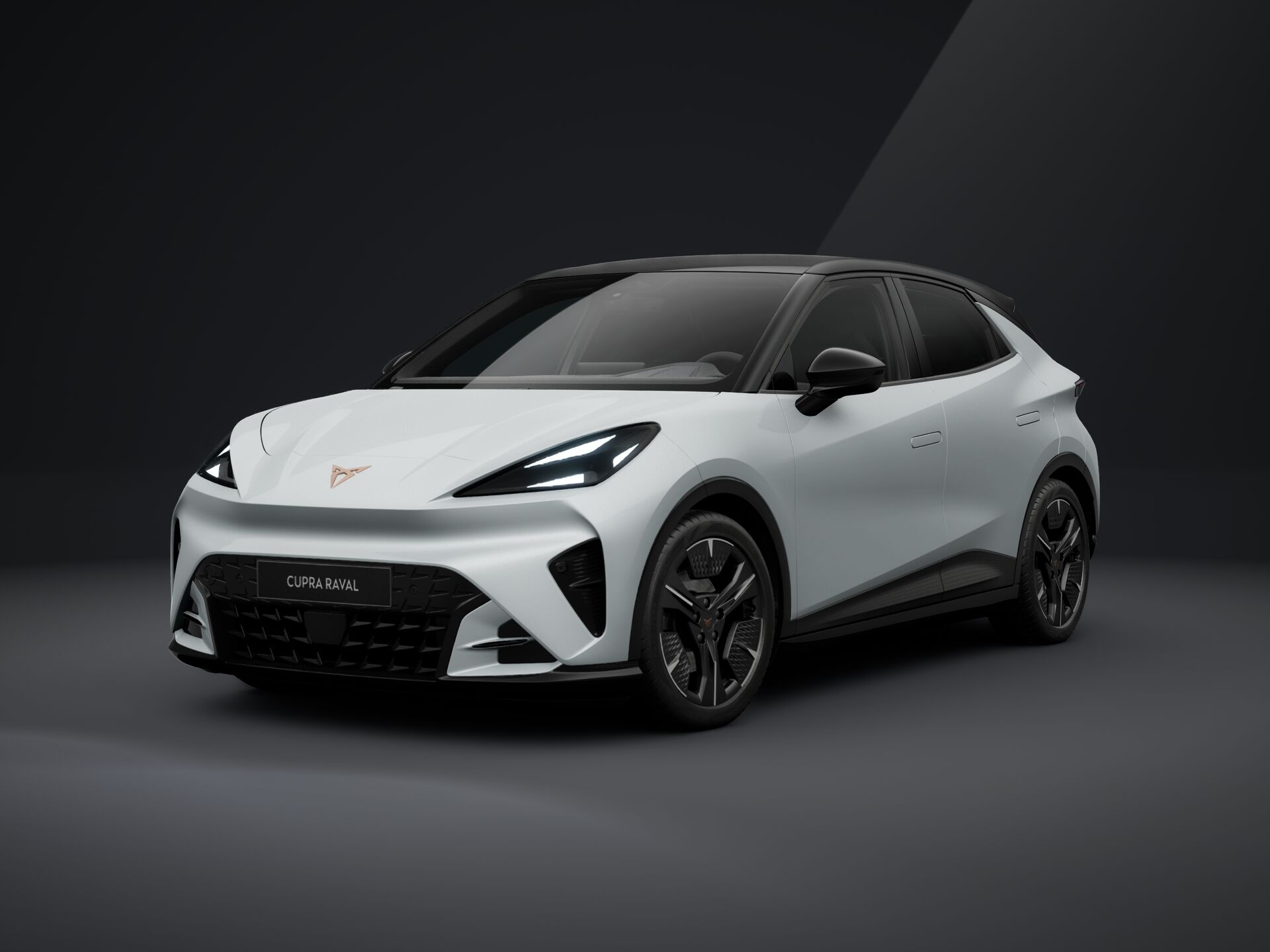 Bild eines Raval ENDURANCE 52/55 155kW/211 PS