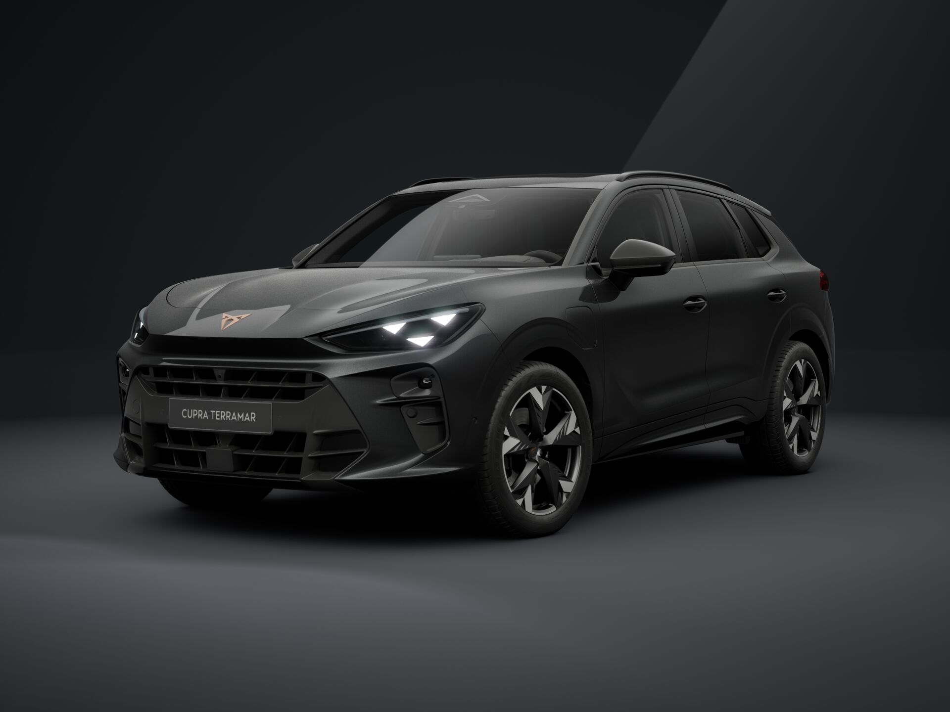 Cupra Terramar e-HYBRID 204 PS DSG 2026