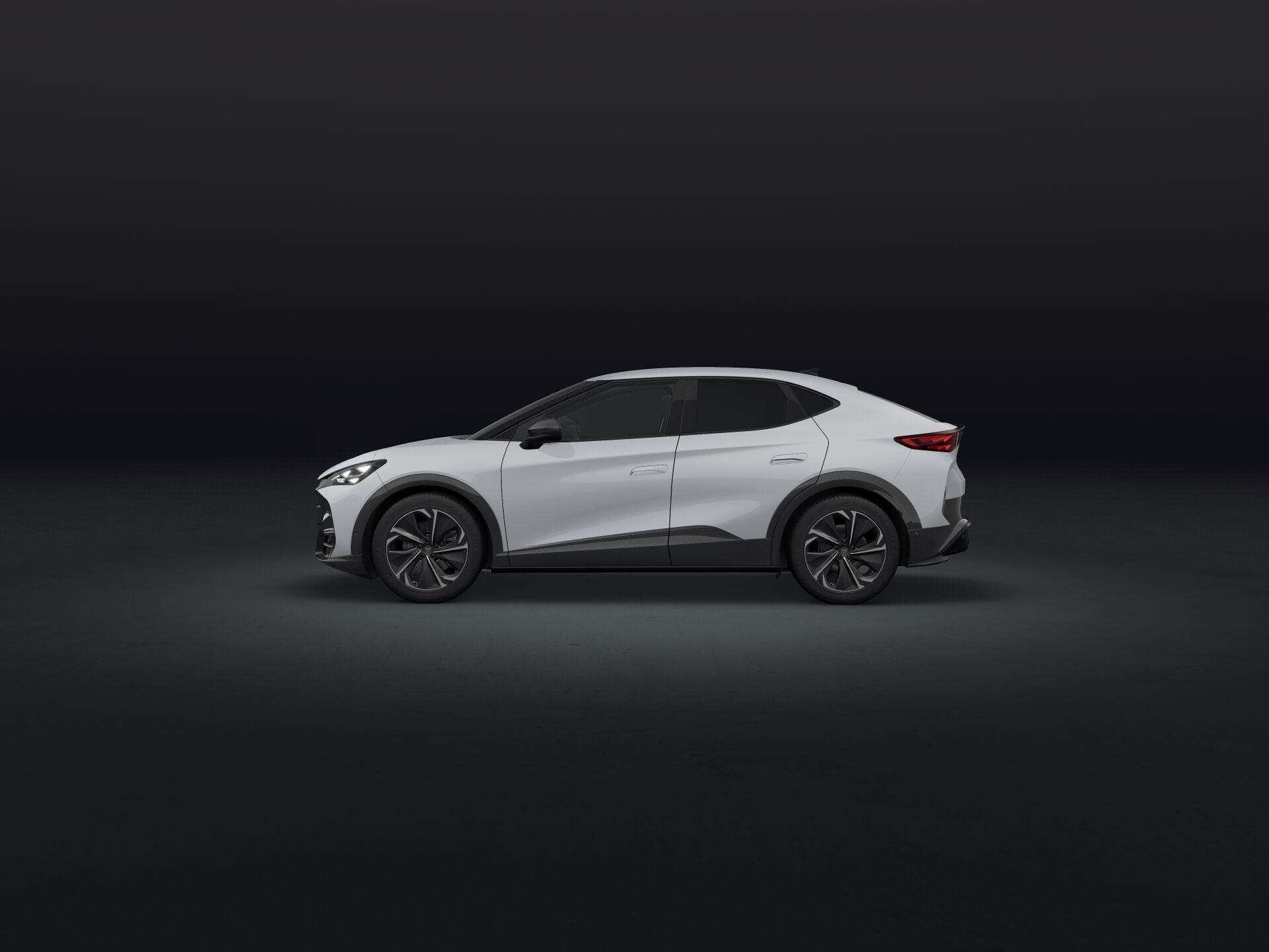 Bild eines Tavascan VZ 4Drive 250kW/340PS