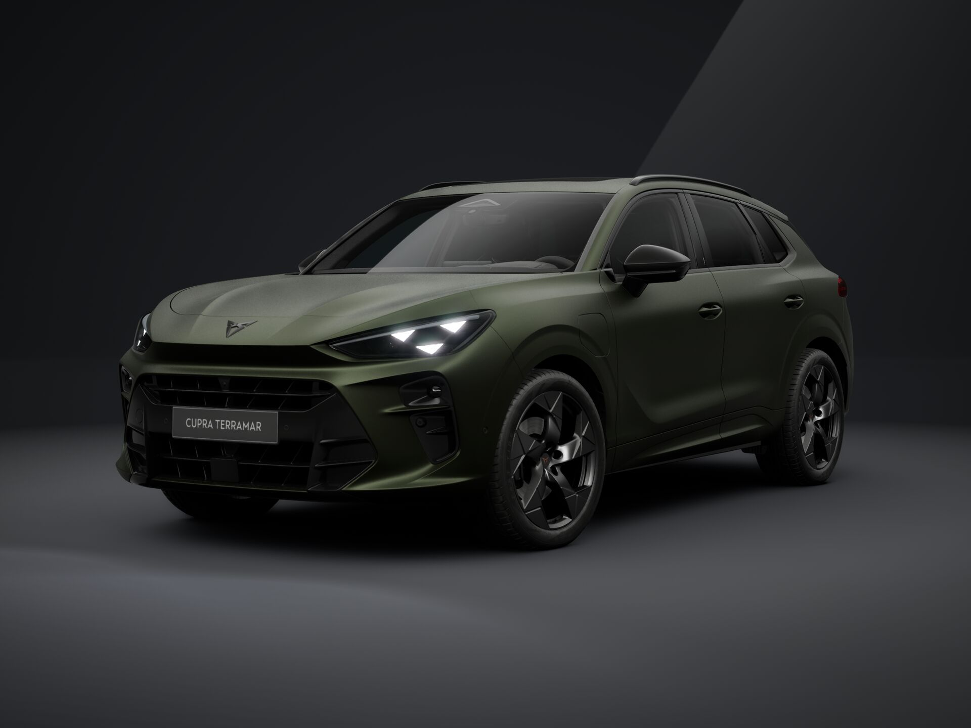 Cupra Terramar TRIBE e-HYBRID 204 PS DSG 2026