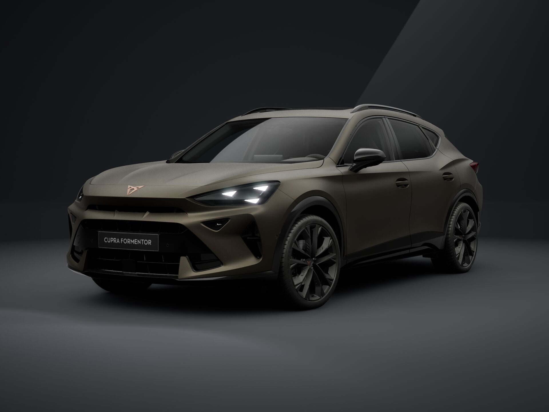 Bild eines Formentor 2.0 TSI 204 PS DSG 4Drive