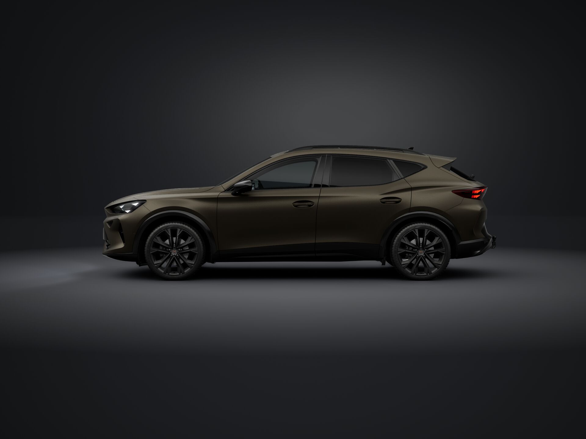 Bild eines Formentor 2.0 TSI 204 PS DSG 4Drive