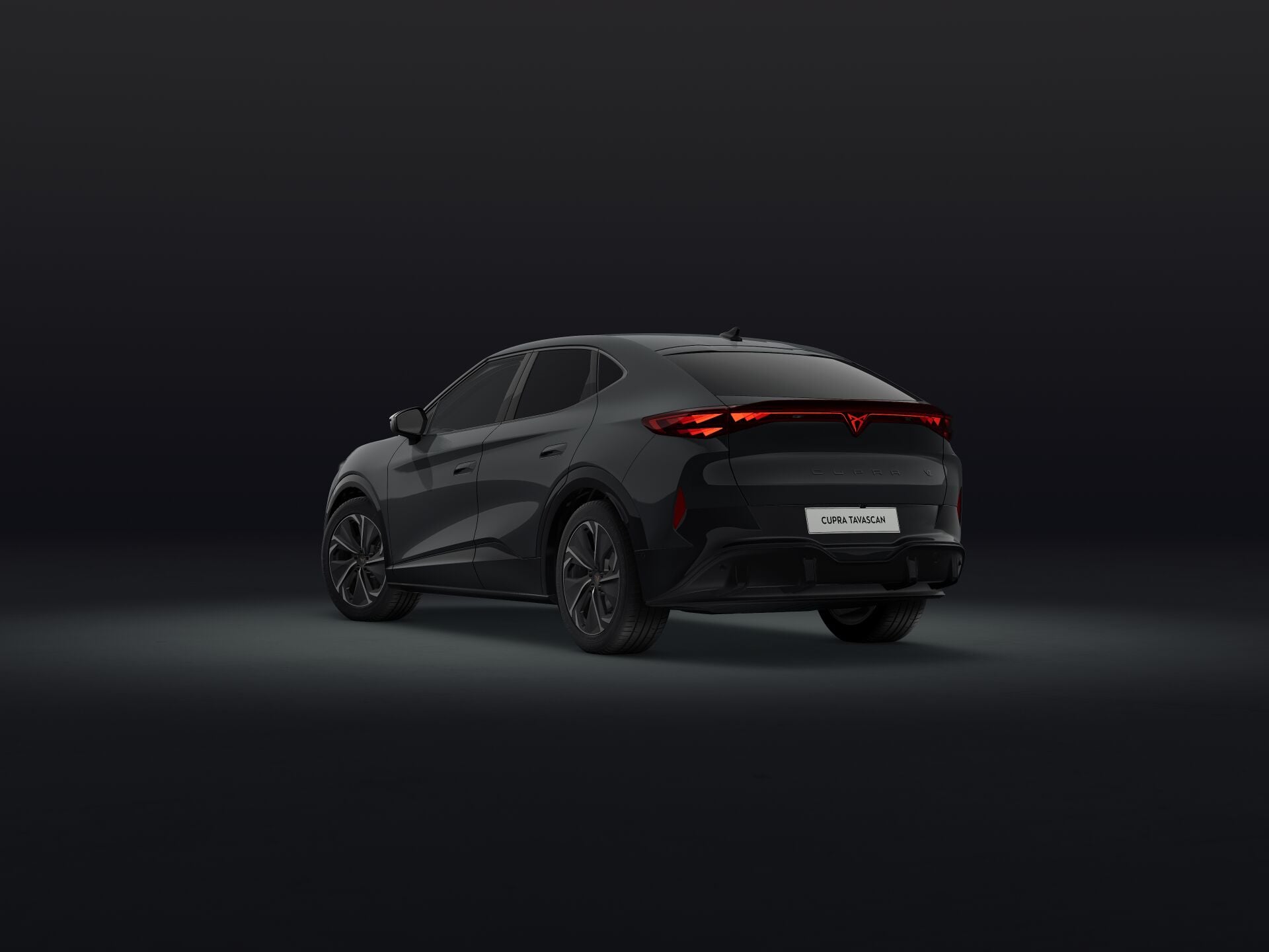 Bild eines Tavascan VZ 4Drive 250kW/340PS