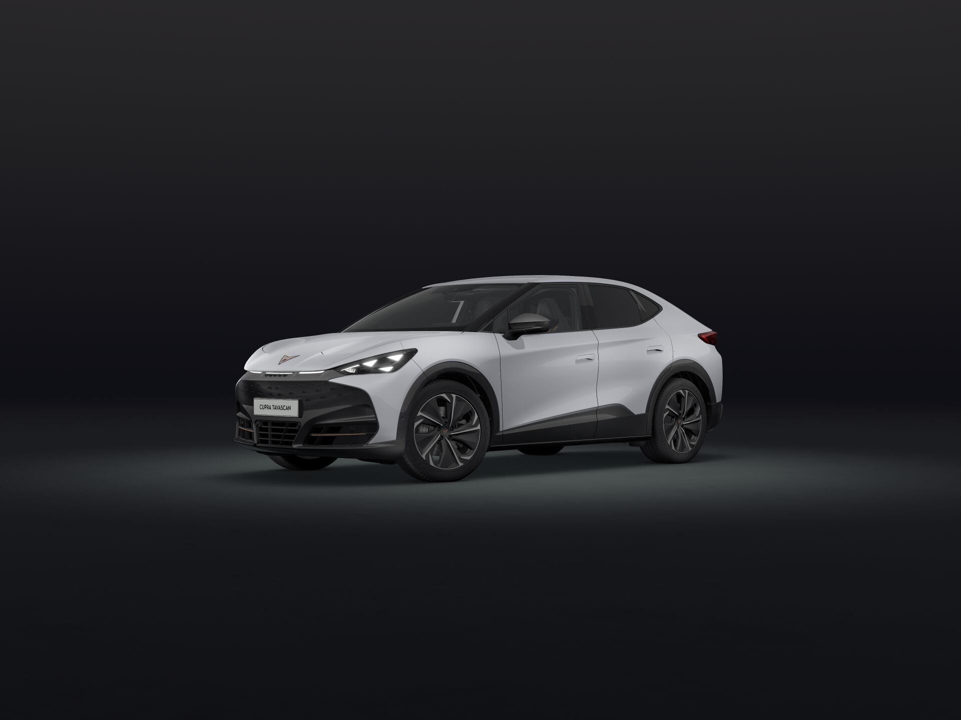 Bild eines Tavascan VZ 4Drive 250kW/340PS