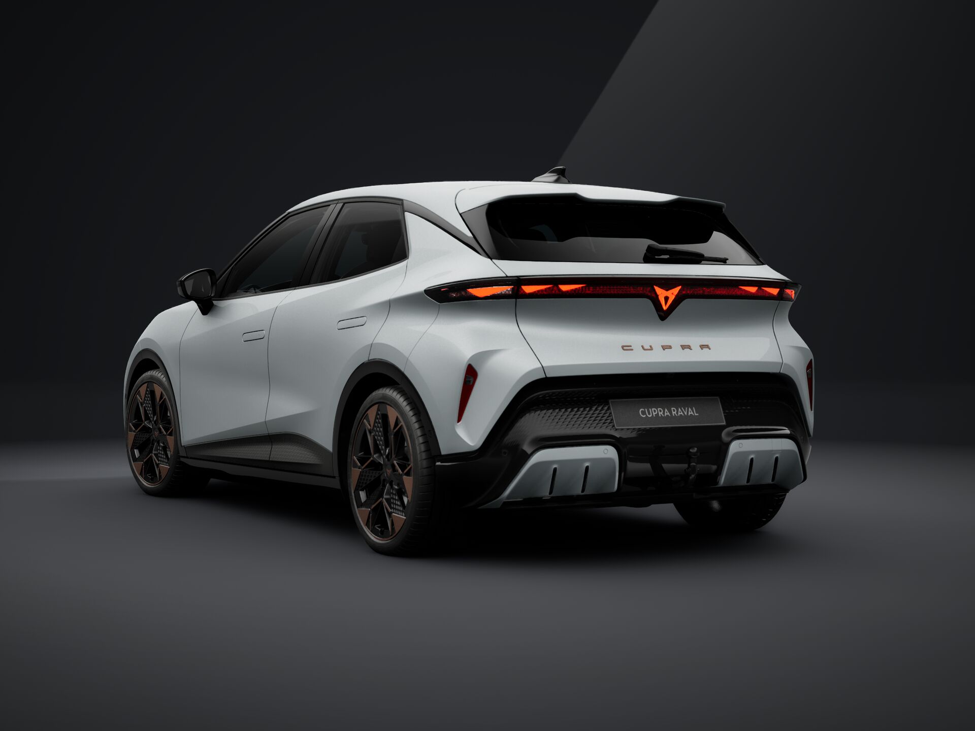 Bild eines Raval ENDURANCE 52/55 155kW/211 PS