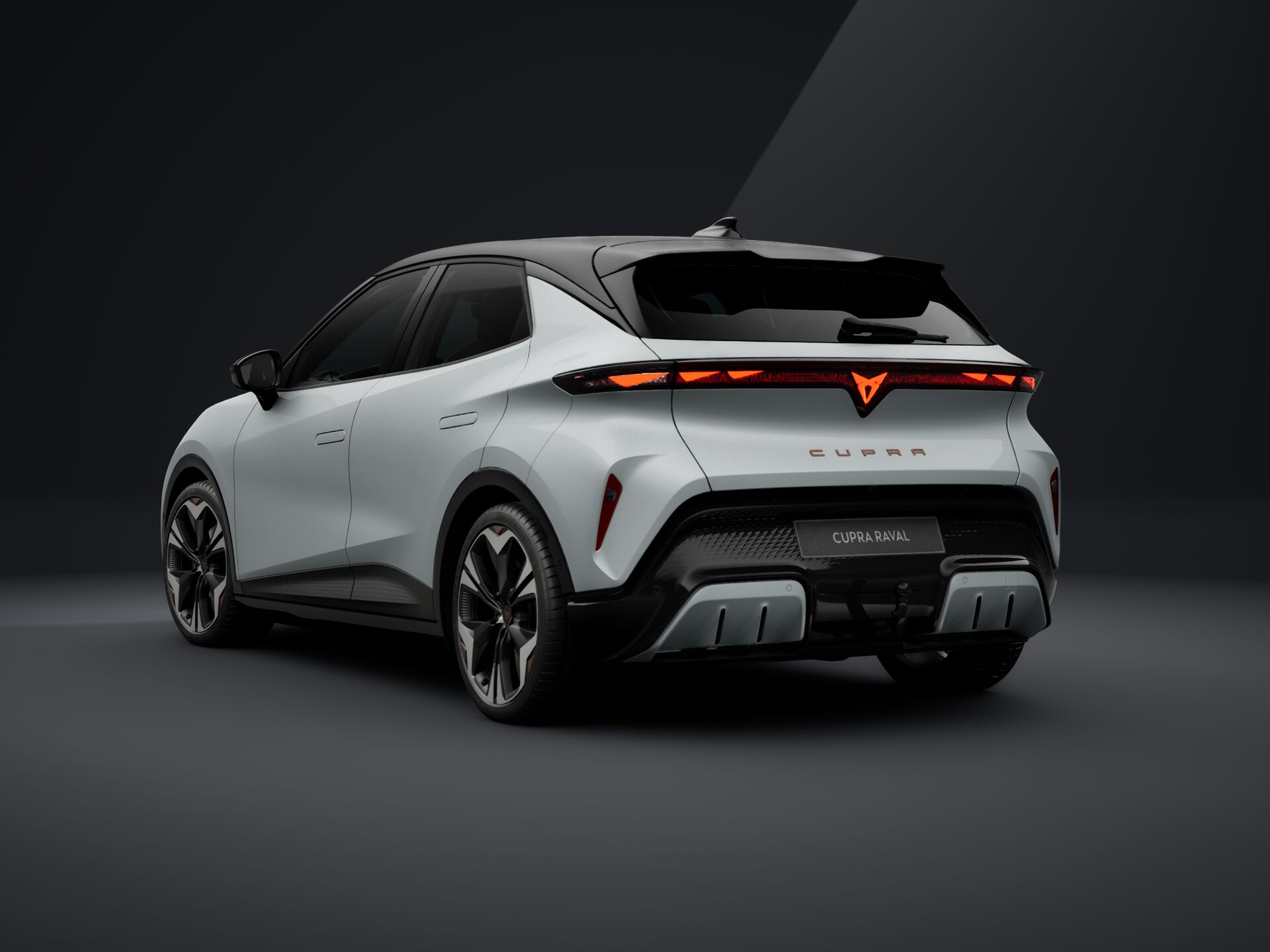 Bild eines Raval ENDURANCE 52/55 155kW/211 PS