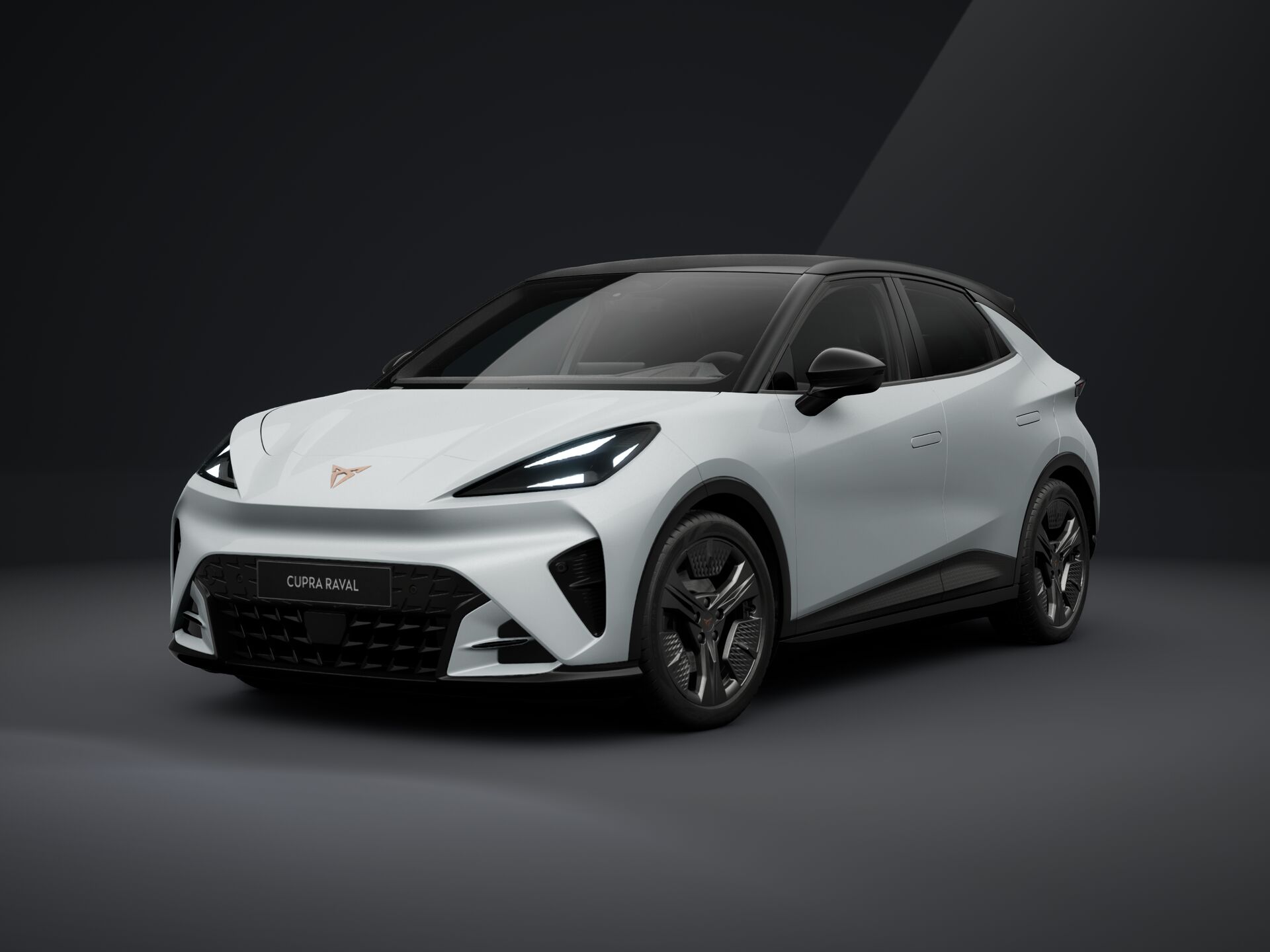 Bild eines Raval ENDURANCE 52/55 155kW/211 PS