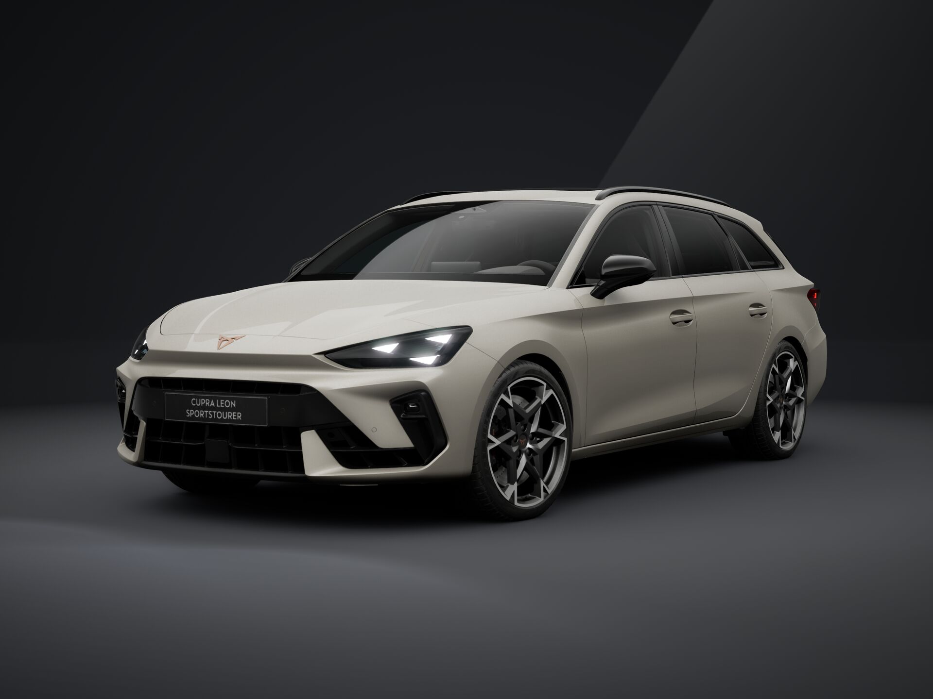 Bild eines Leon SP Kombi VZ 2.0 TSI DSG 4Drive