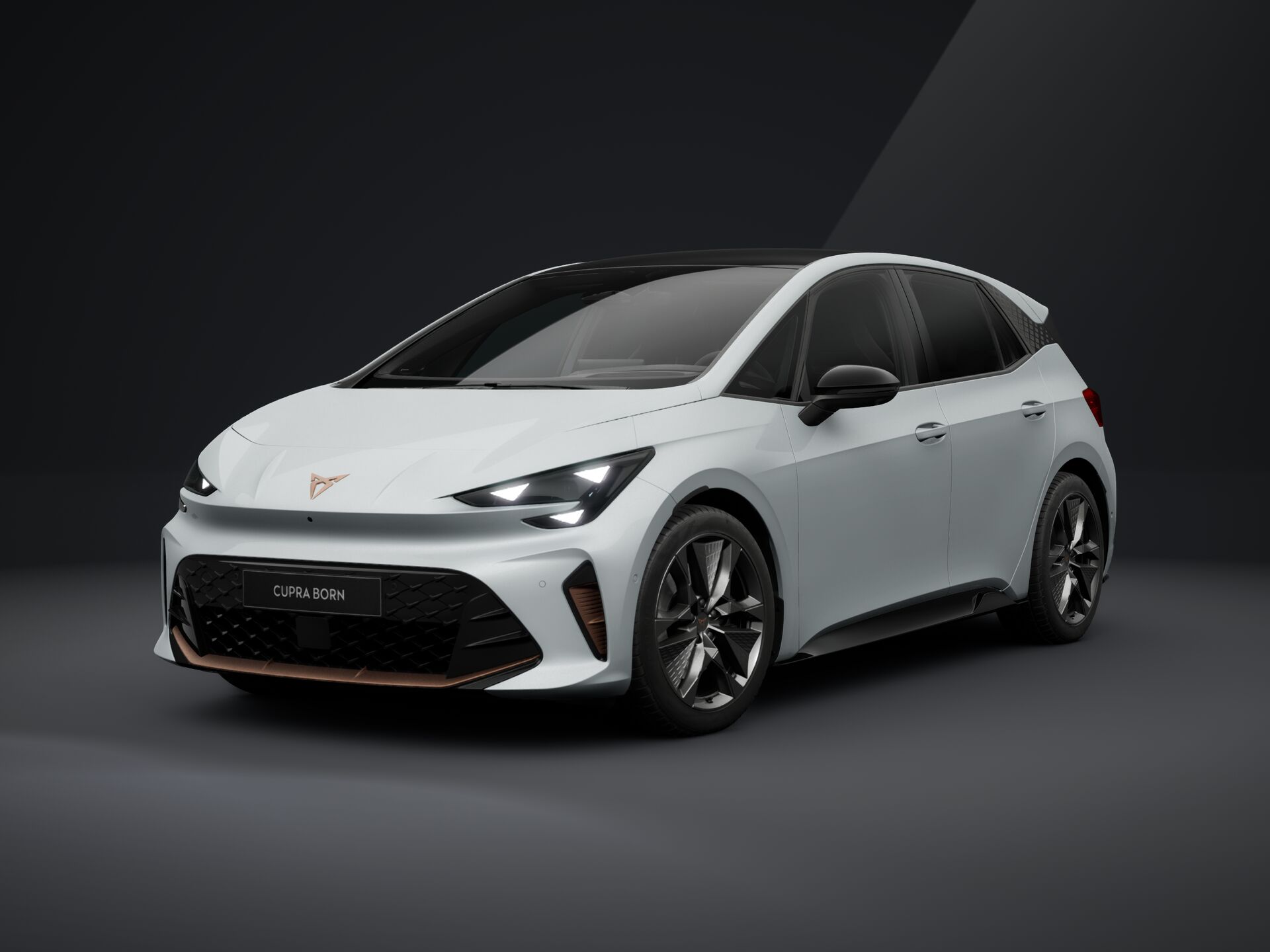 Cupra Born ENDURANCE 79/84 170kW/231PS 2026