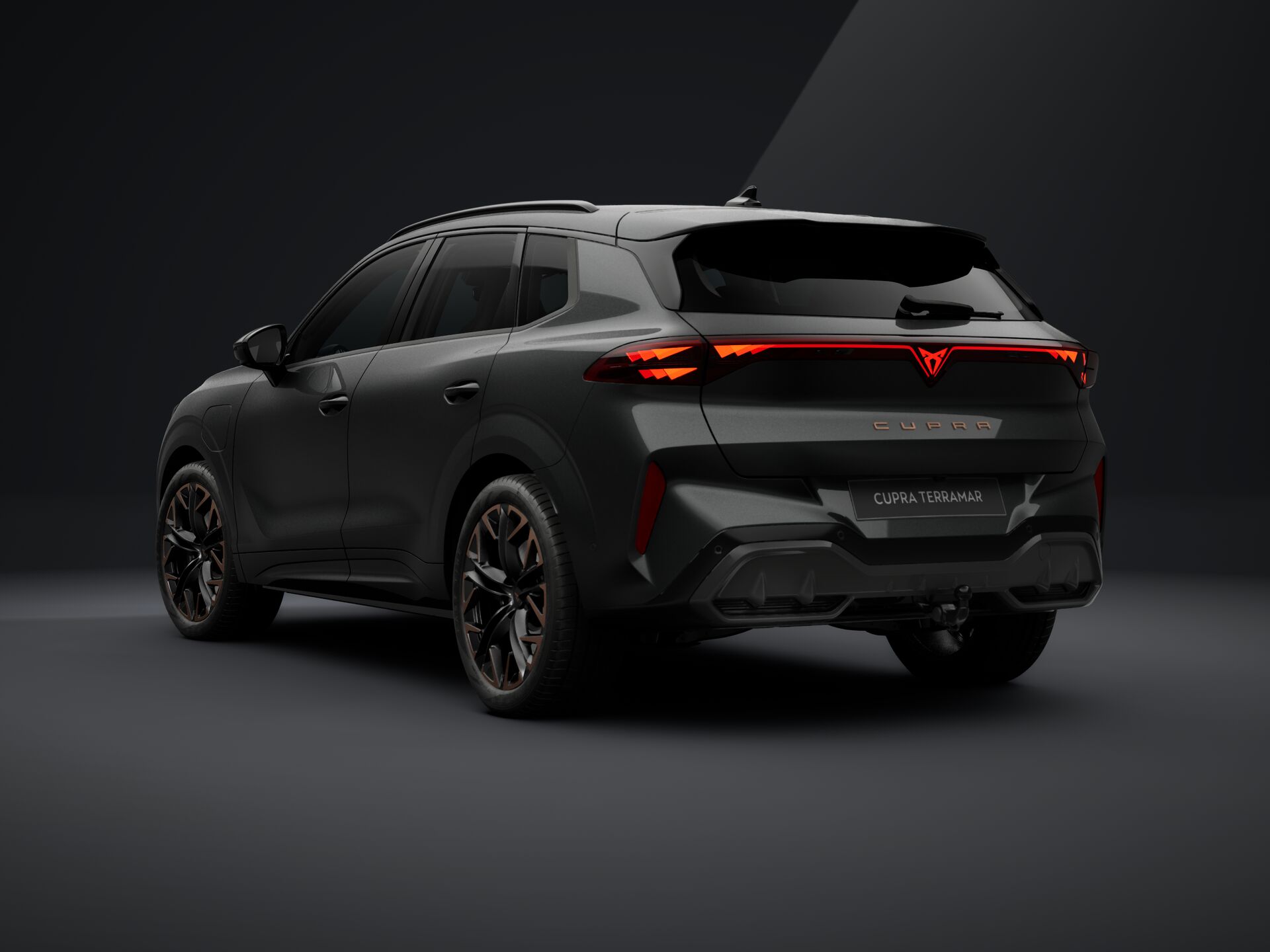 Bild eines Terramar e-HYBRID 204 PS DSG
