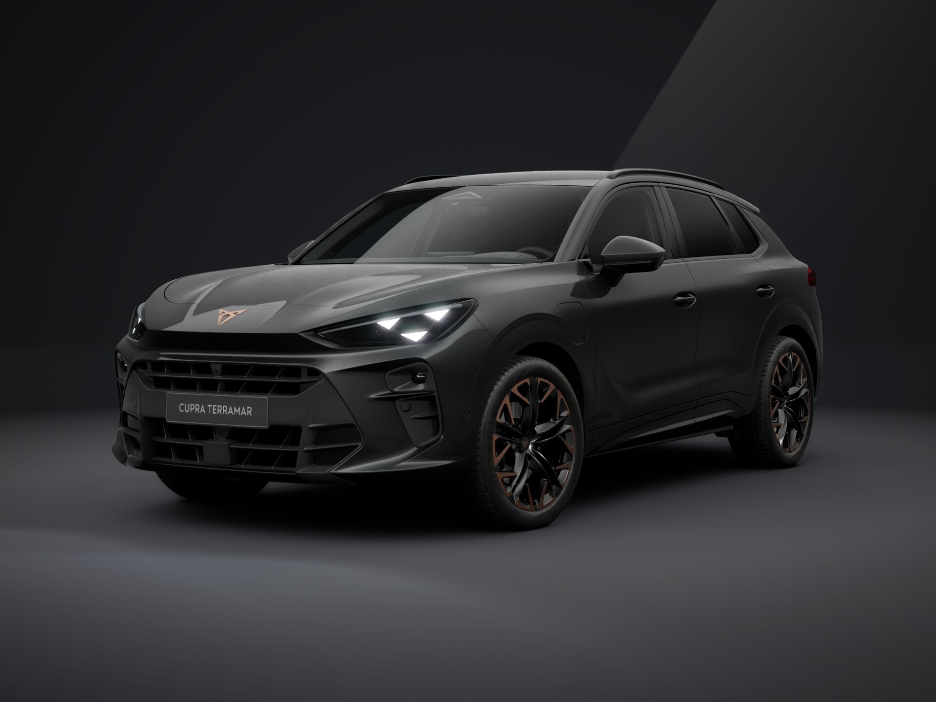 Bild eines Terramar e-HYBRID 204 PS DSG