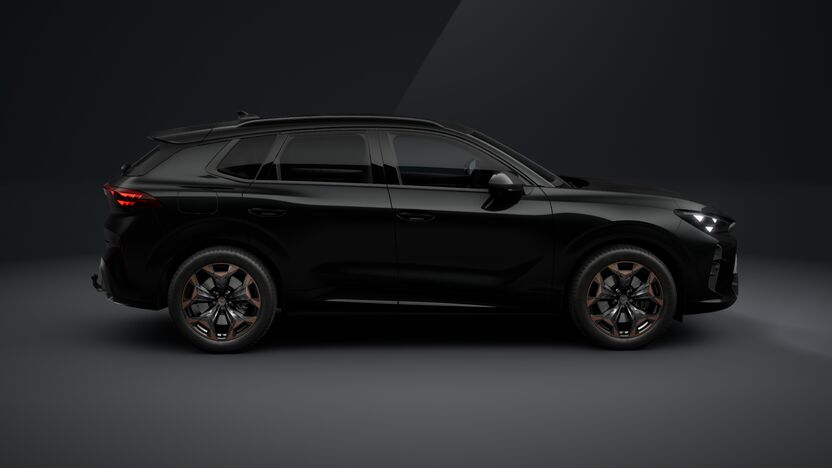 Bild eines Terramar e-HYBRID 204 PS DSG