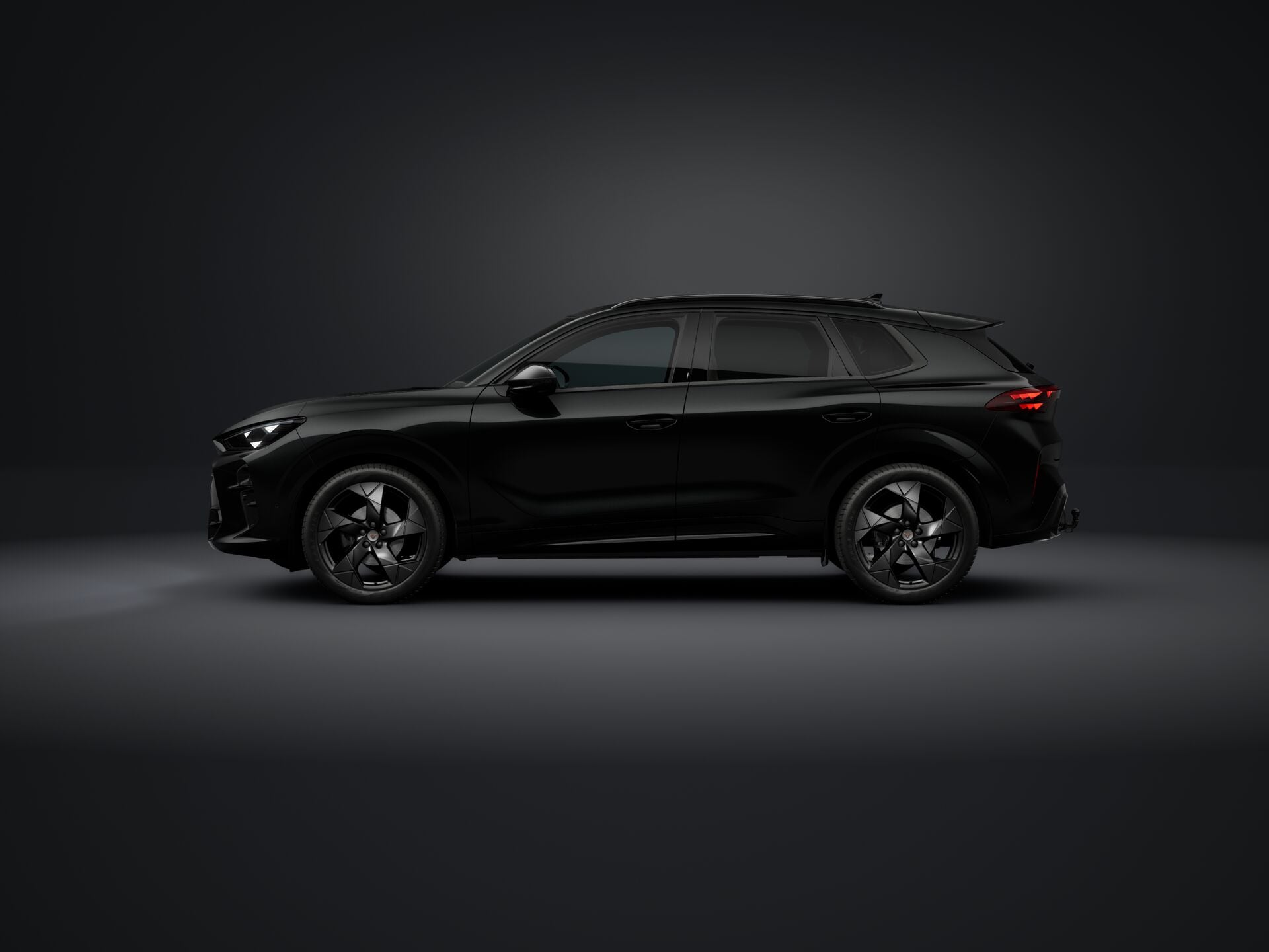 Bild eines Terramar TRIBE 1.5 e-TSI 150 PS DSG