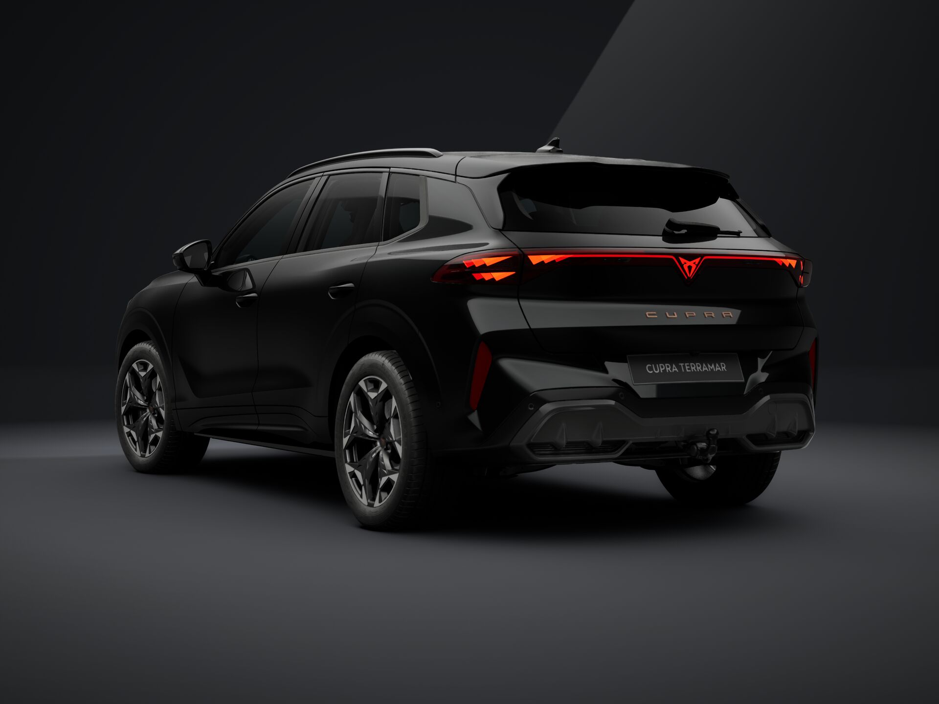 Bild eines Terramar 2.0 TSI 204 PS DSG 4Drive