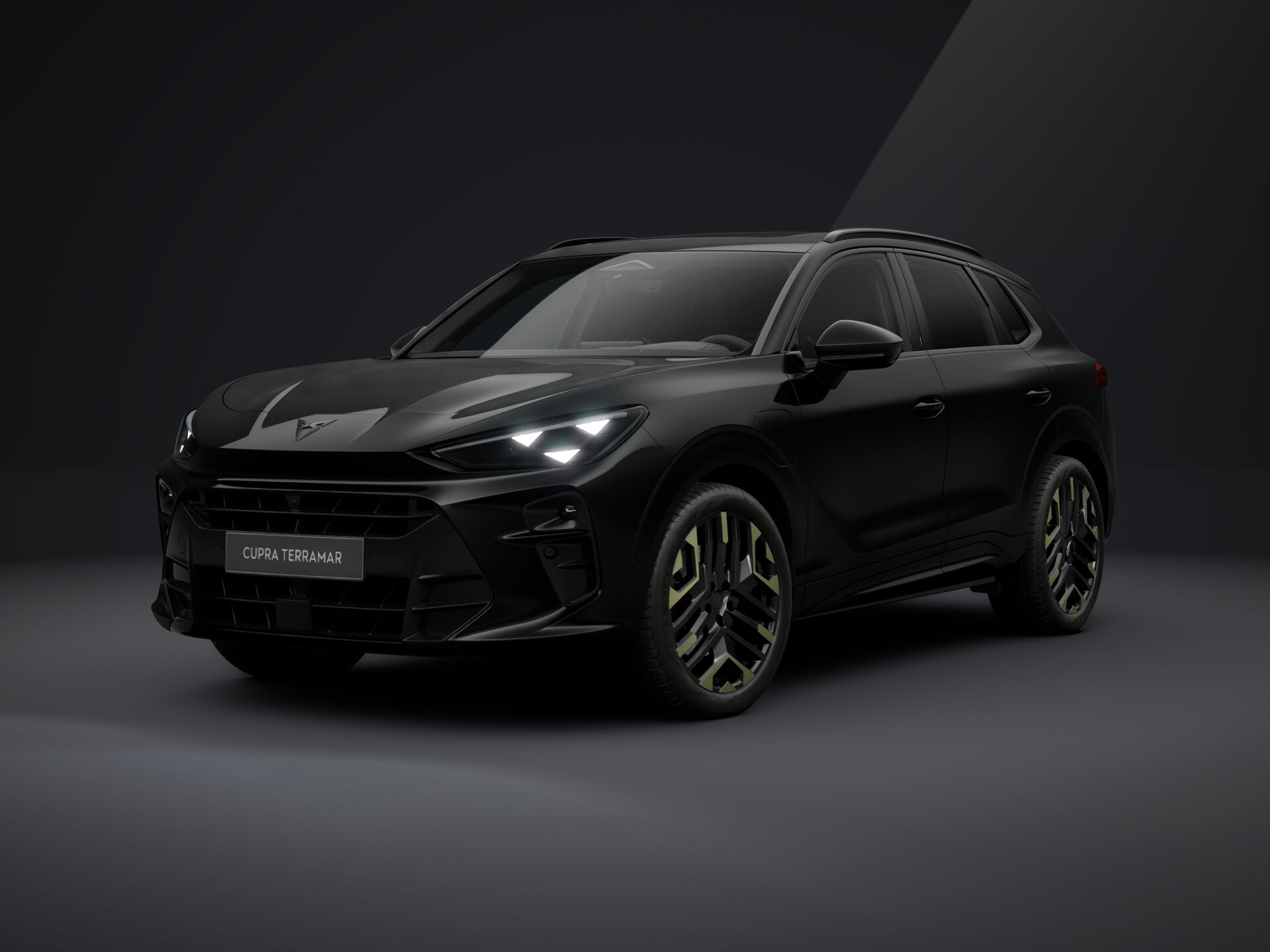 Cupra Terramar TRIBE e-HYBRID 204 PS DSG 2026