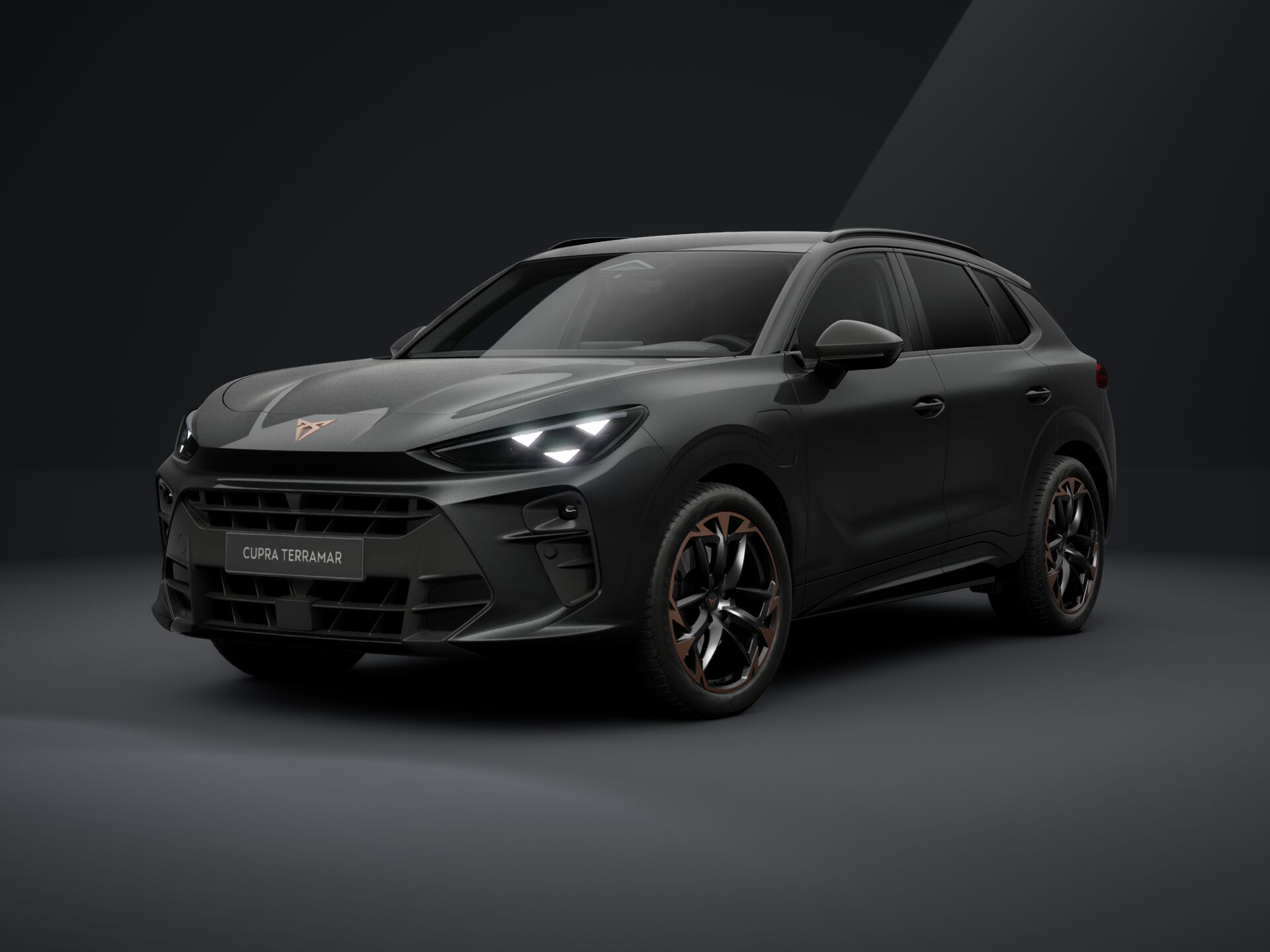 Bild eines Terramar e-HYBRID 204 PS DSG