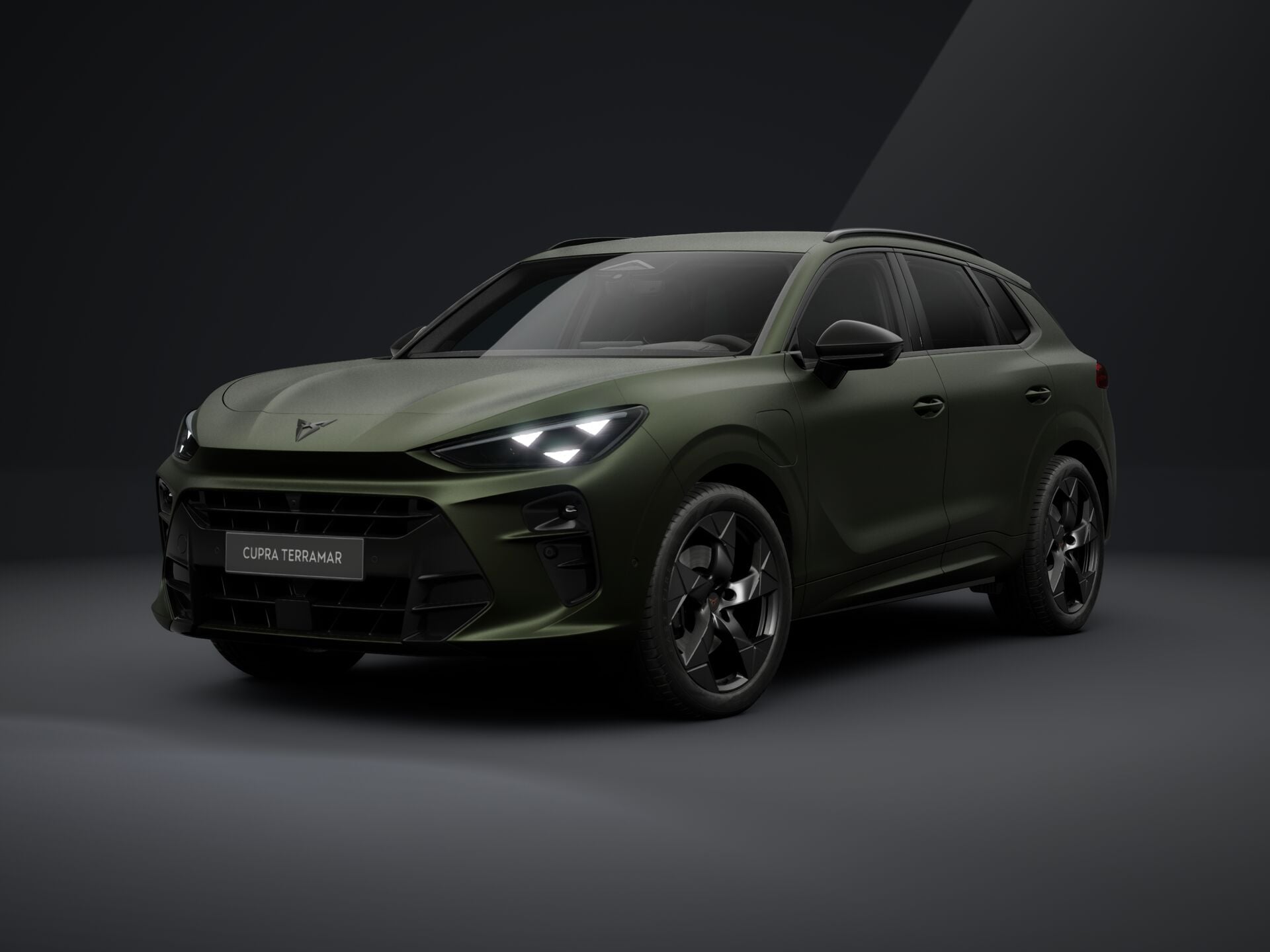 Cupra Terramar TRIBE e-HYBRID 204 PS DSG 2026