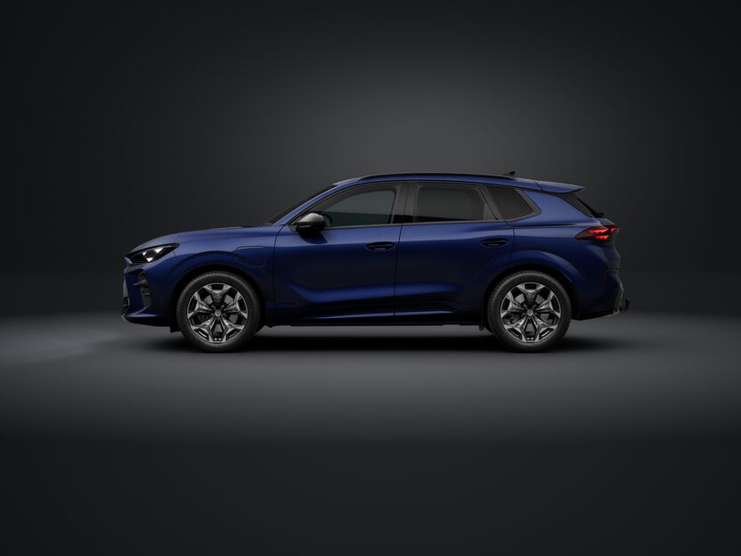 Bild eines Terramar e-HYBRID 204 PS DSG