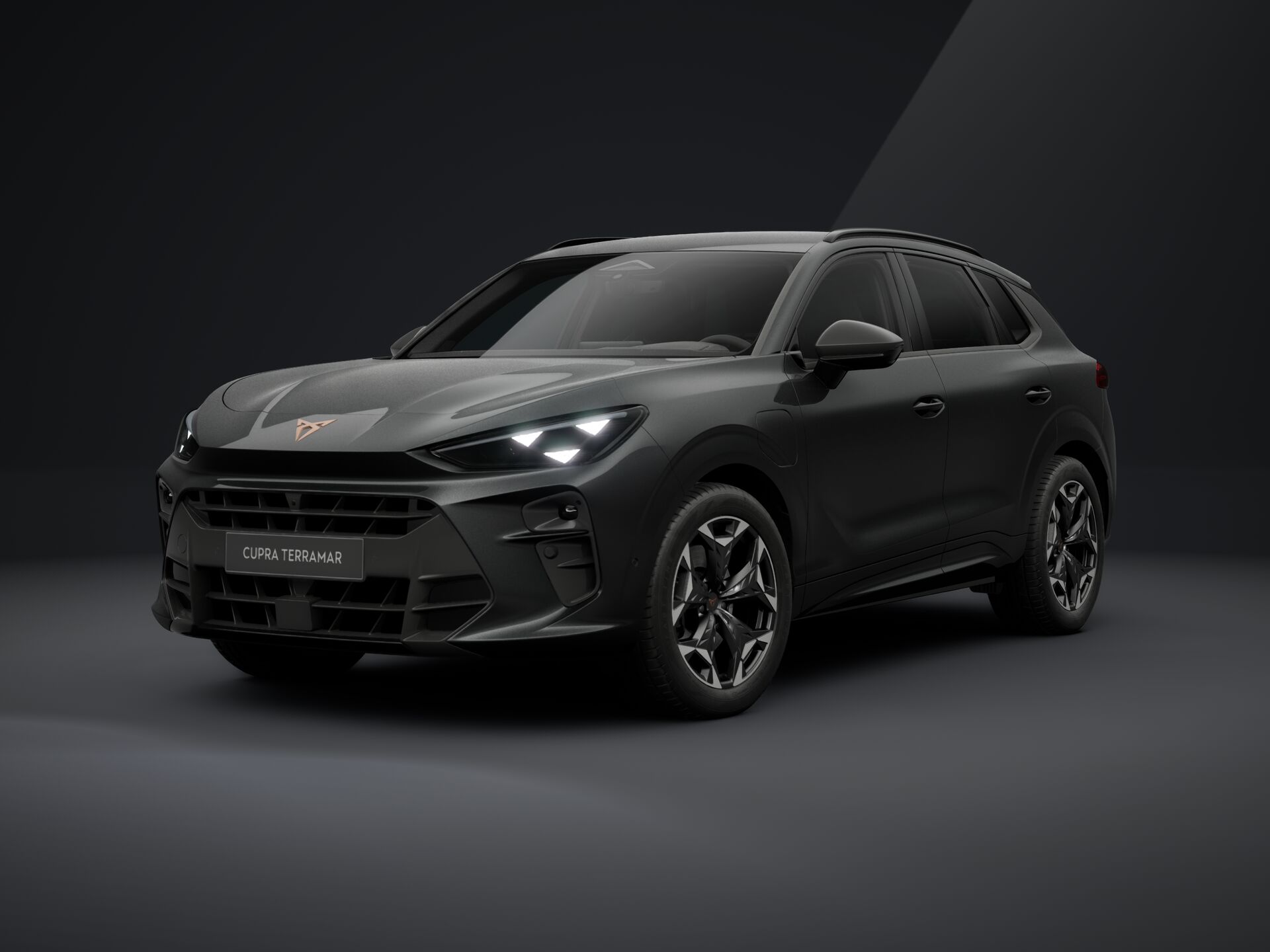 Bild eines Terramar e-HYBRID 204 PS DSG