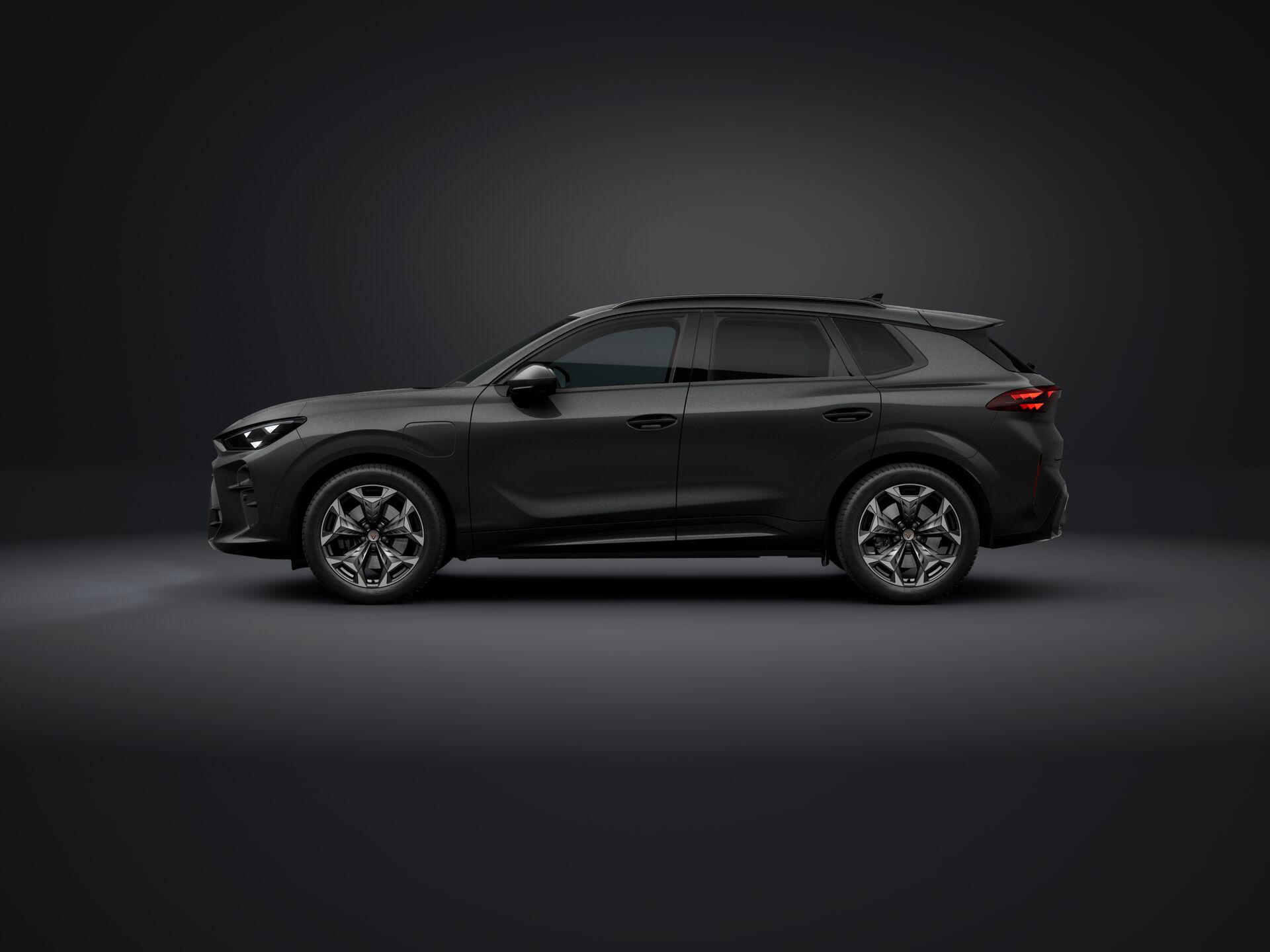 Bild eines Terramar e-HYBRID 204 PS DSG