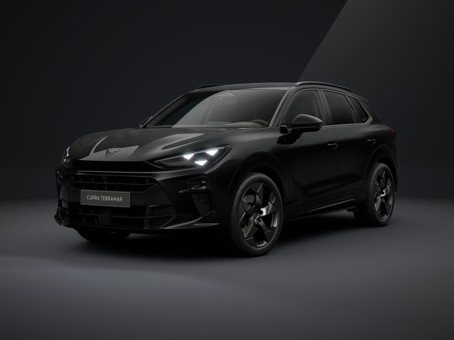 Cupra Terramar TRIBE 2.0 TSI 204 PS DSG 4Drive 2026