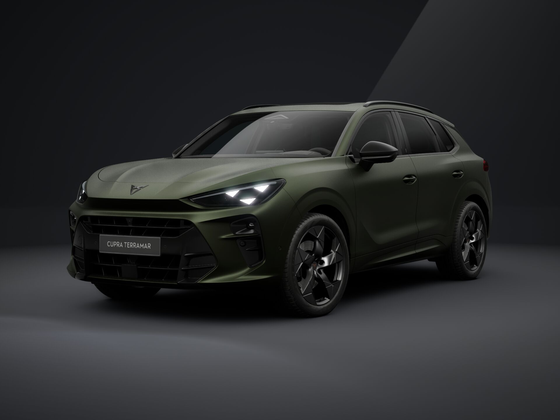Cupra Terramar TRIBE 2.0 TSI 204 PS DSG 4Drive 2026