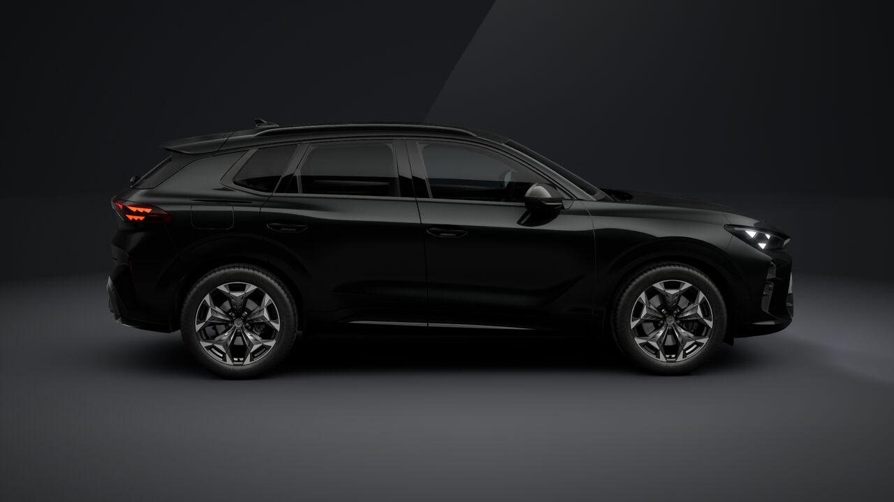 Bild eines Terramar e-HYBRID 204 PS DSG