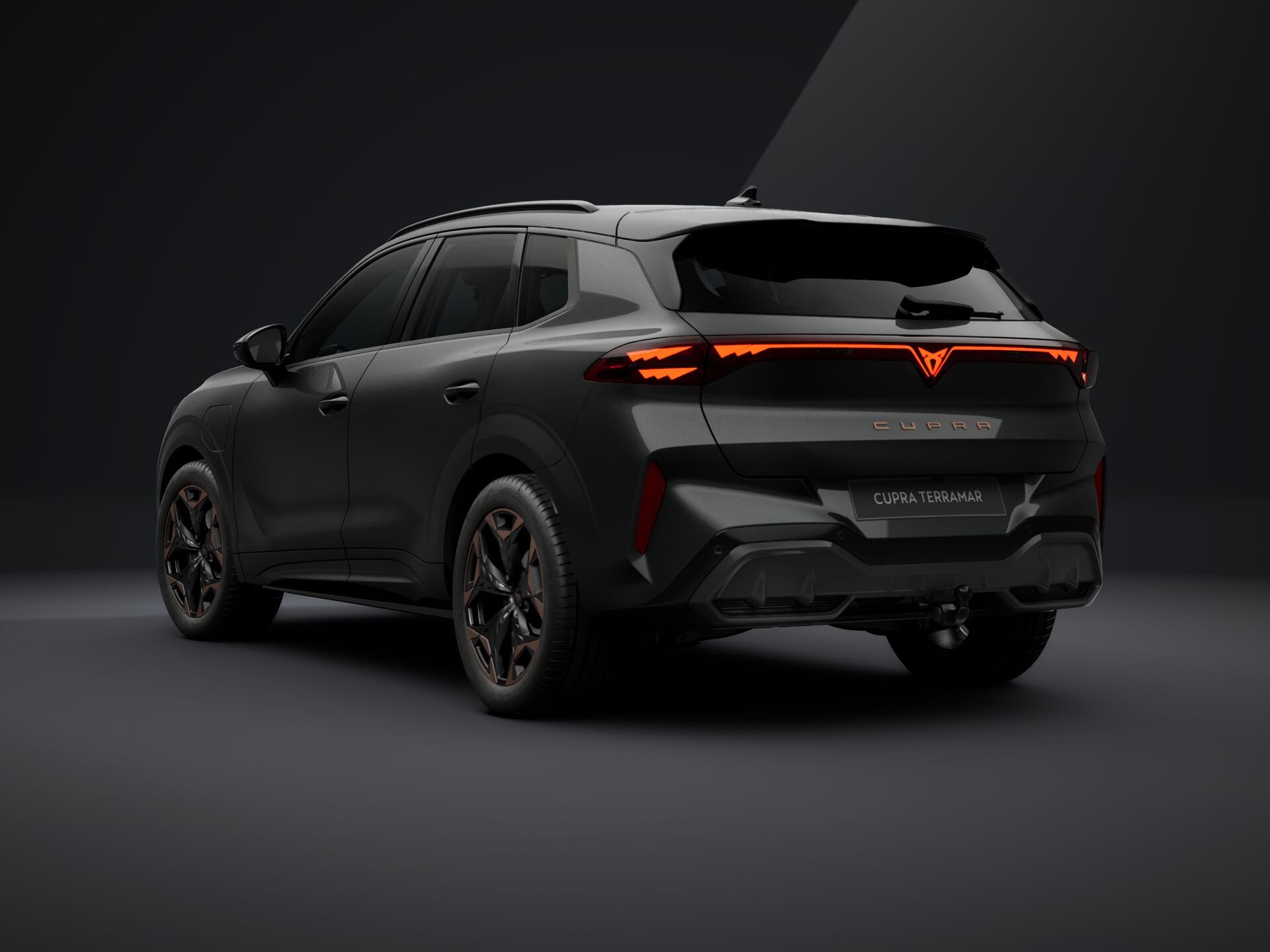 Bild eines Terramar e-HYBRID 204 PS DSG