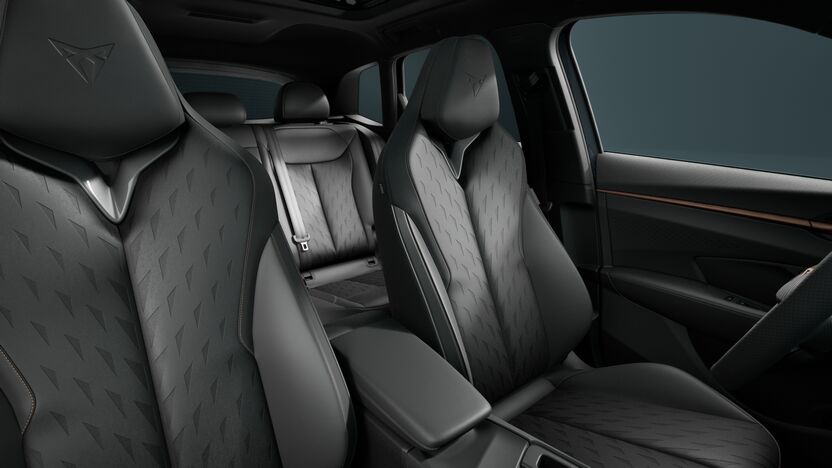 Bild eines Terramar VZ e-HYBRID 272 PS DSG