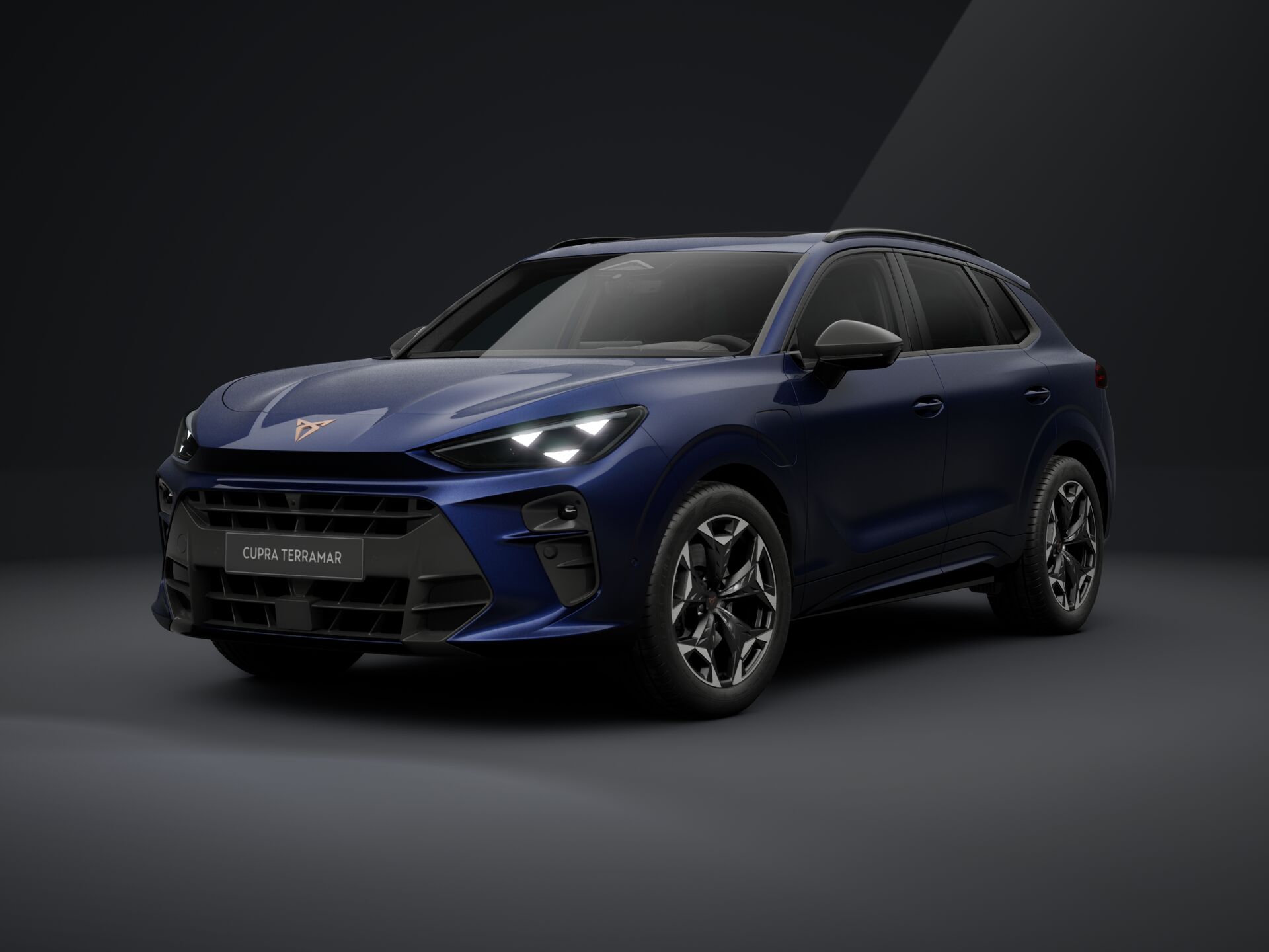 Bild eines Terramar VZ e-HYBRID 272 PS DSG