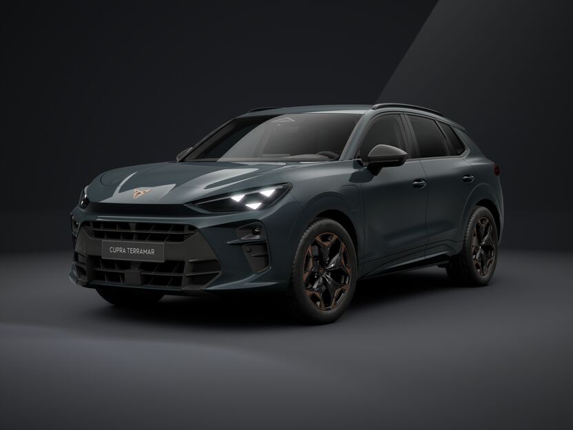 Bild eines Terramar e-HYBRID 204 PS DSG