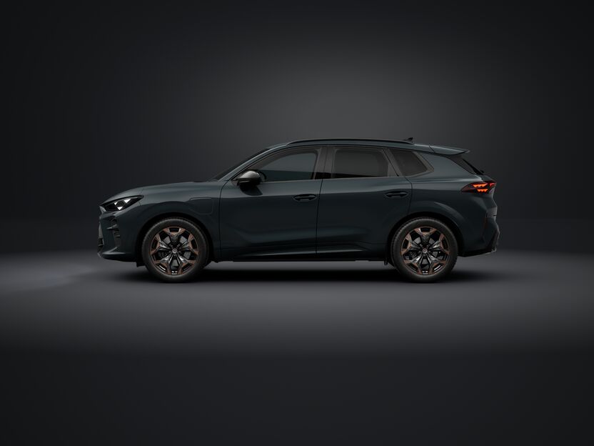 Bild eines Terramar e-HYBRID 204 PS DSG