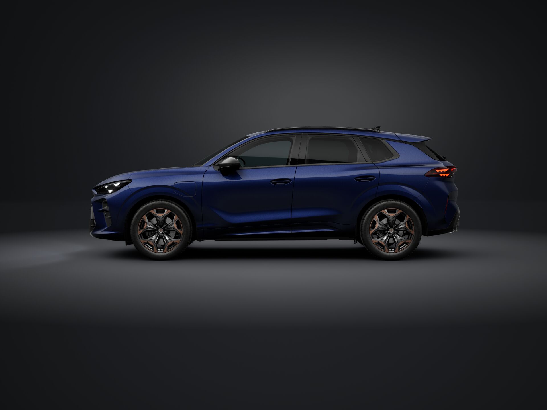 Bild eines Terramar e-HYBRID 204 PS DSG