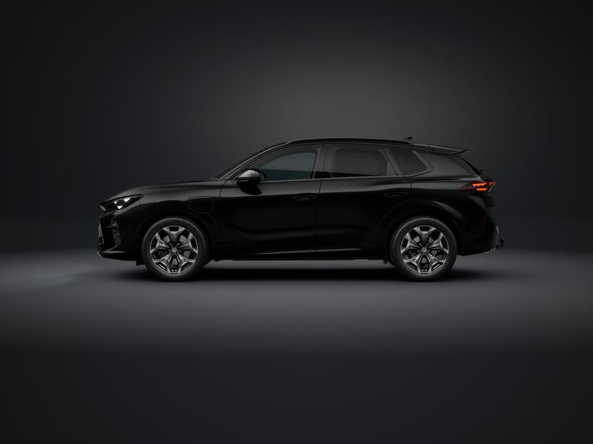 Bild eines Terramar e-HYBRID 204 PS DSG