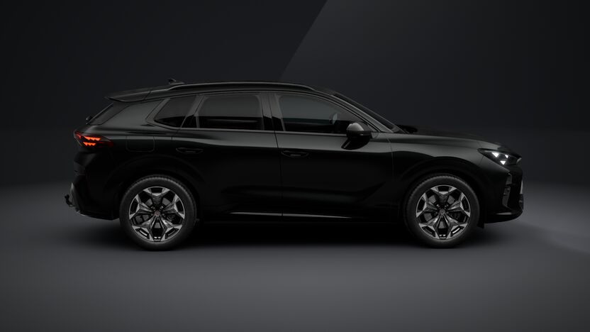 Bild eines Terramar e-HYBRID 204 PS DSG