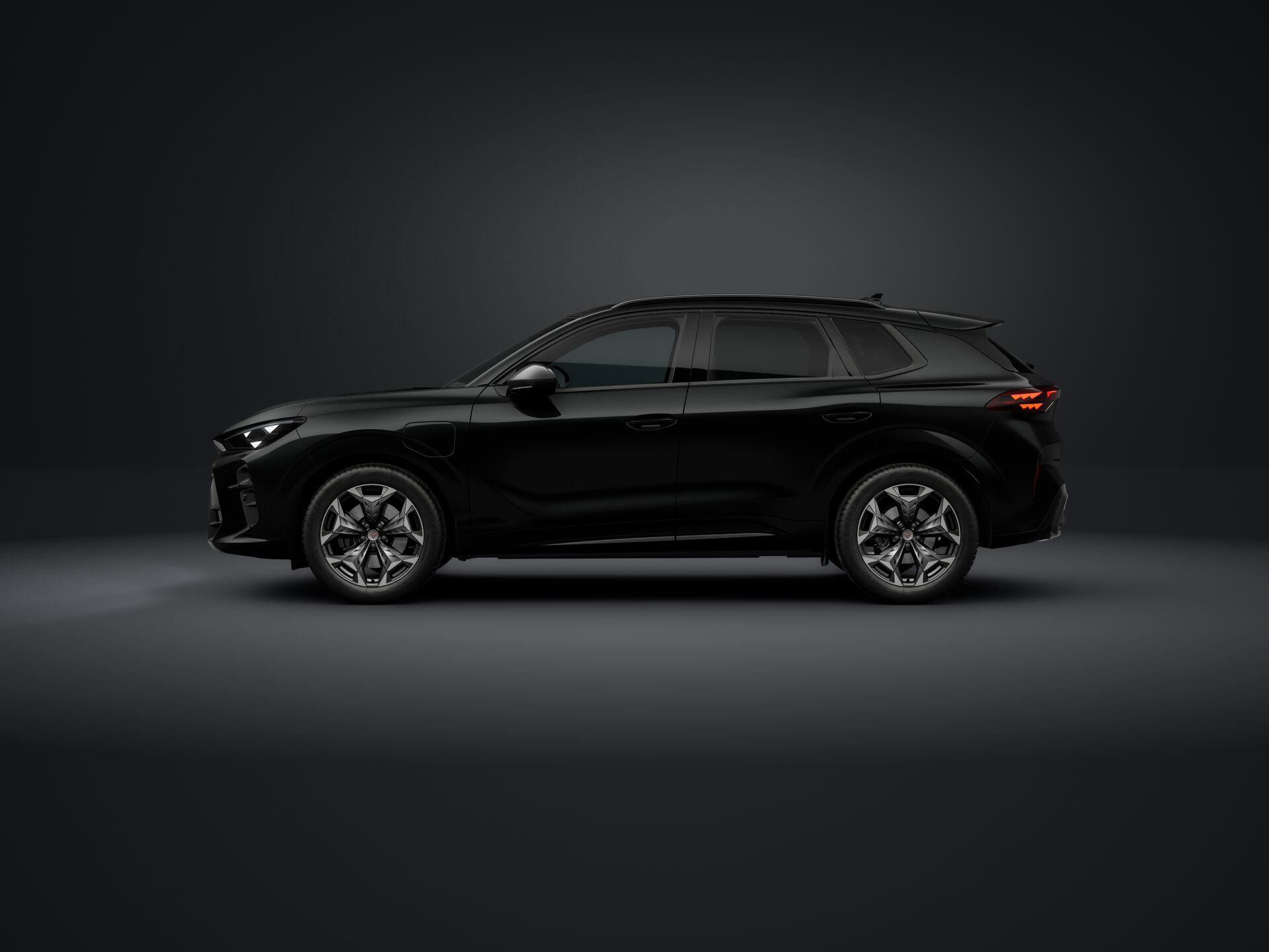 Bild eines Terramar e-HYBRID 204 PS DSG