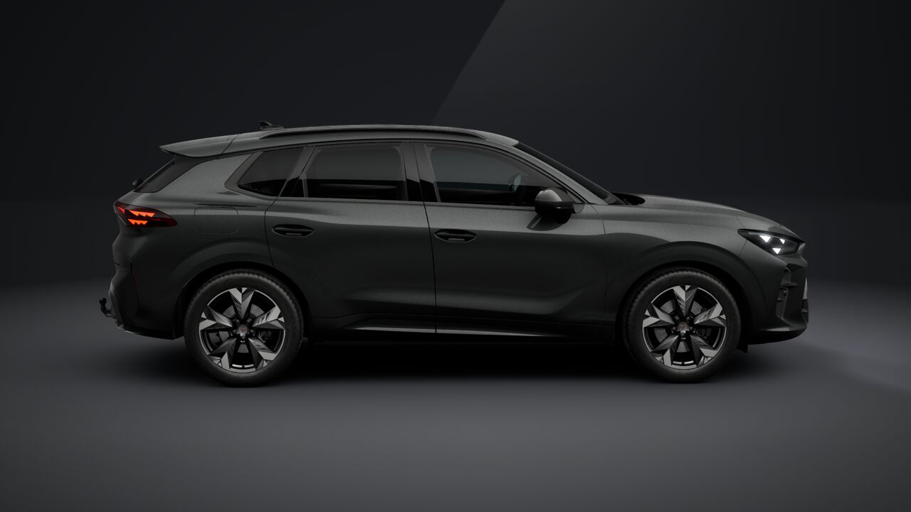 Bild eines Terramar VZ 2.0 TSI 265 PS DSG 4Drive